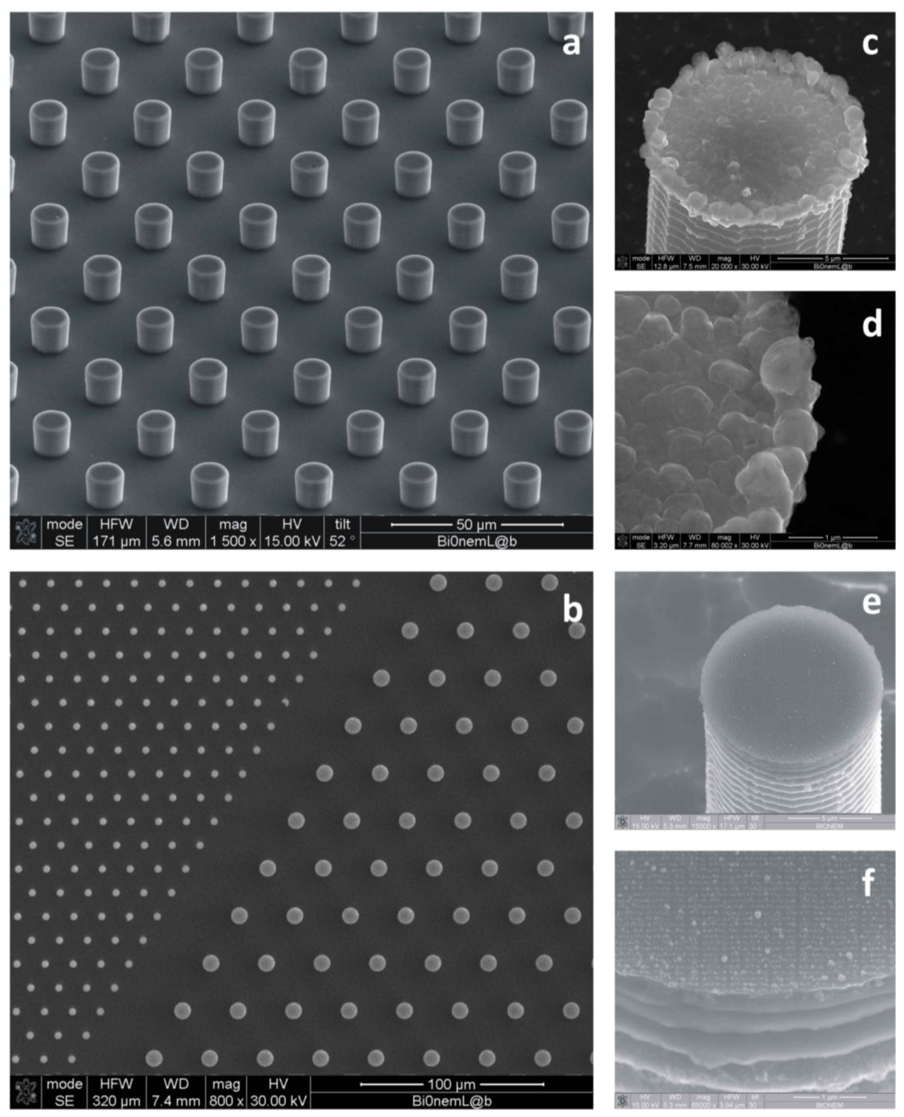 Micromachines 05 00239 g002 1024