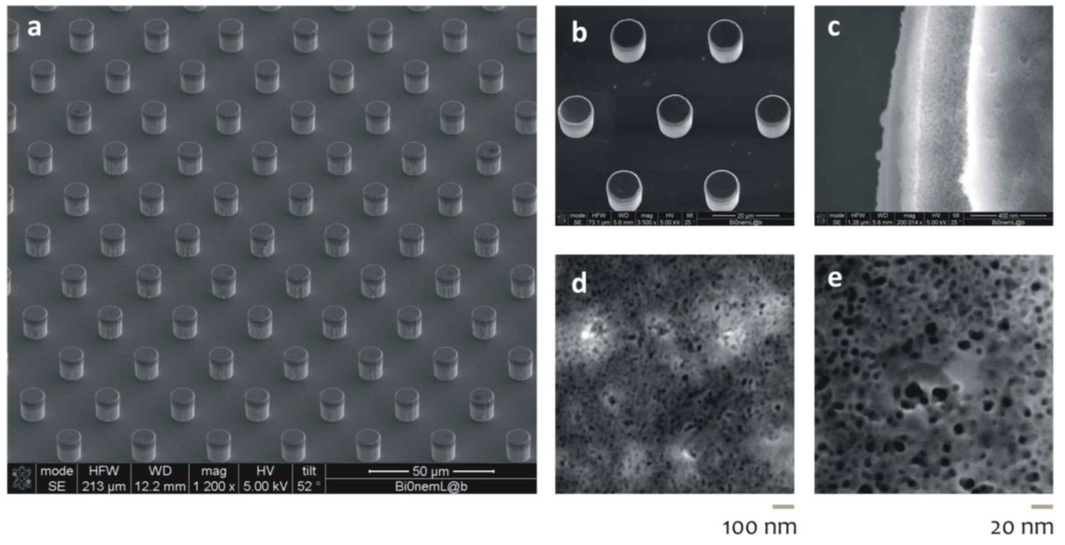 Micromachines 05 00239 g003 1024