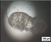 Micromachines 05 00263 i004