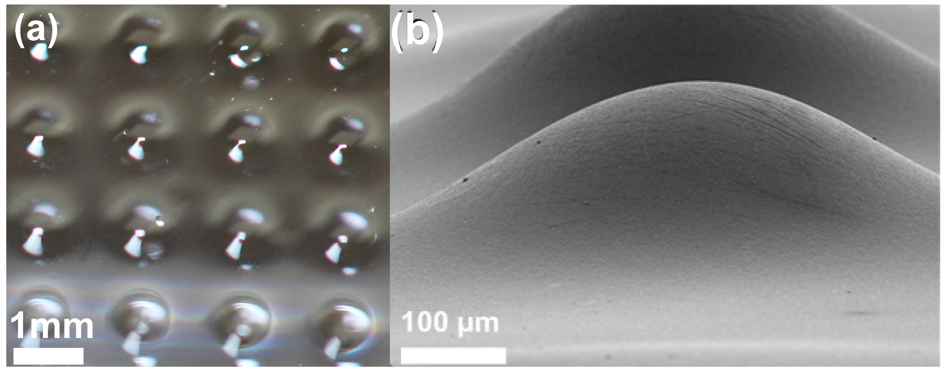 Micromachines 05 00275 g001