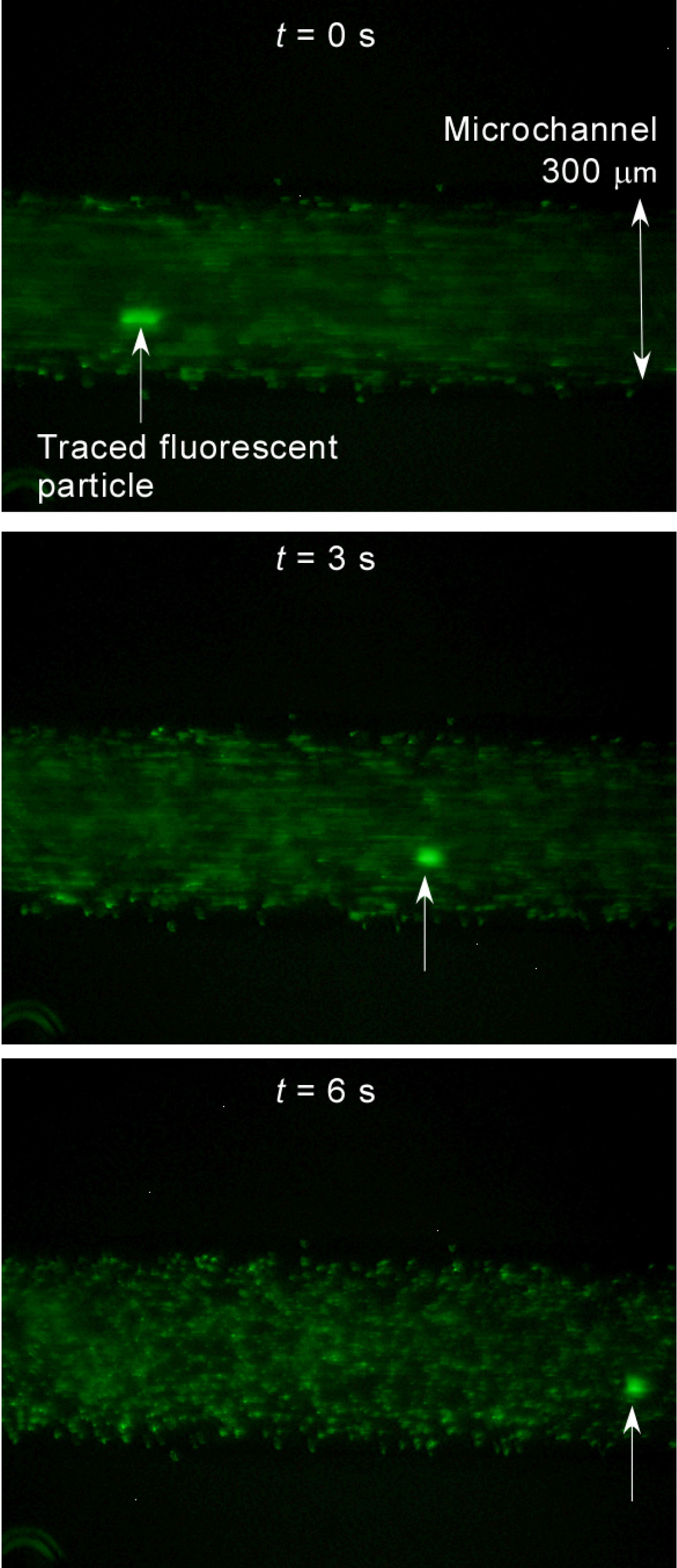 Micromachines 05 00289 g003