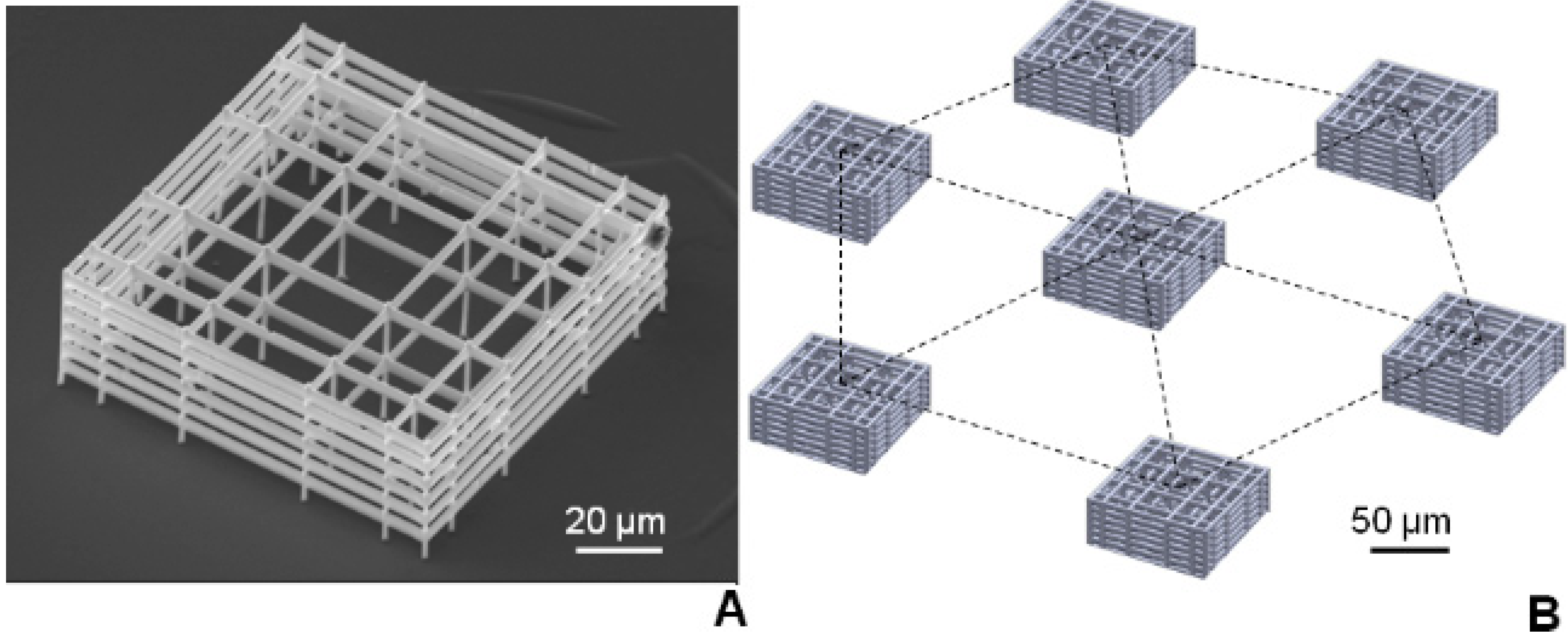 Micromachines 05 00341 g002 1024