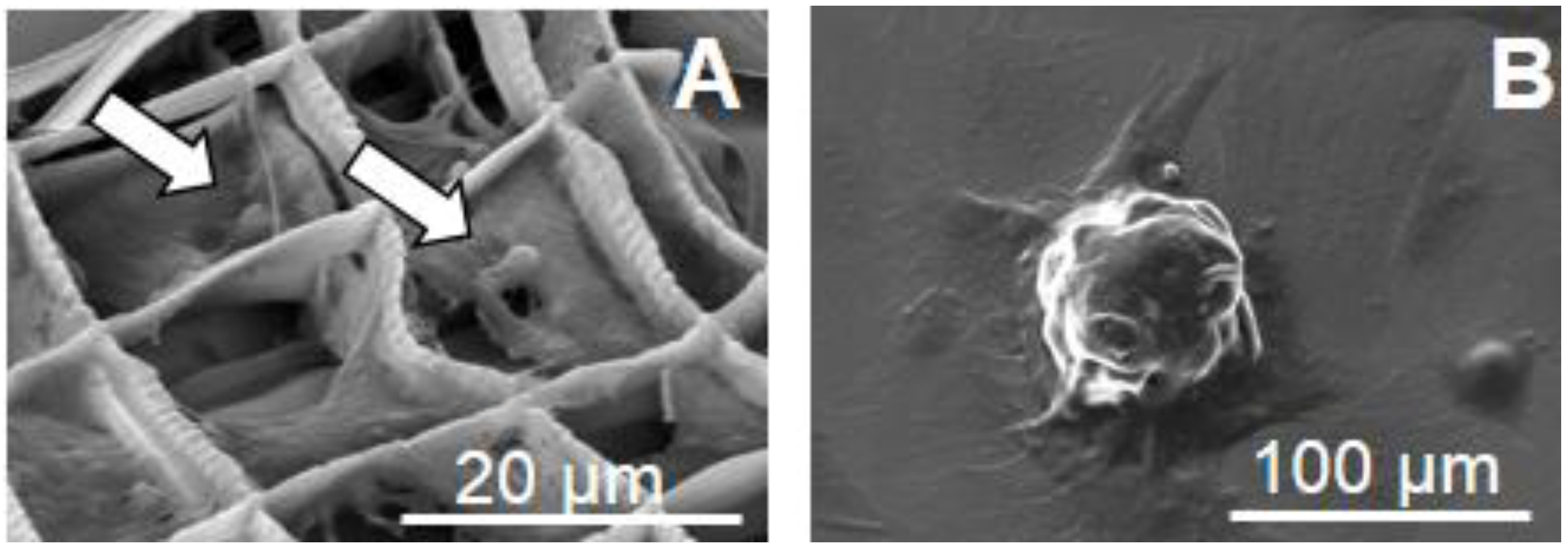 Micromachines 05 00341 g005 1024