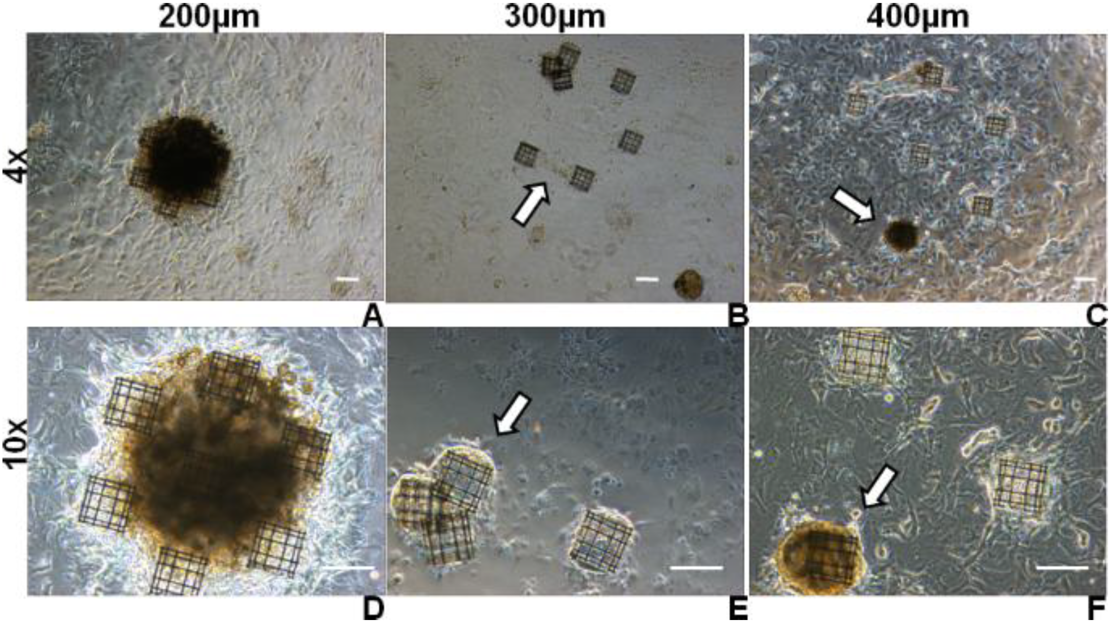 Micromachines 05 00341 g008 1024