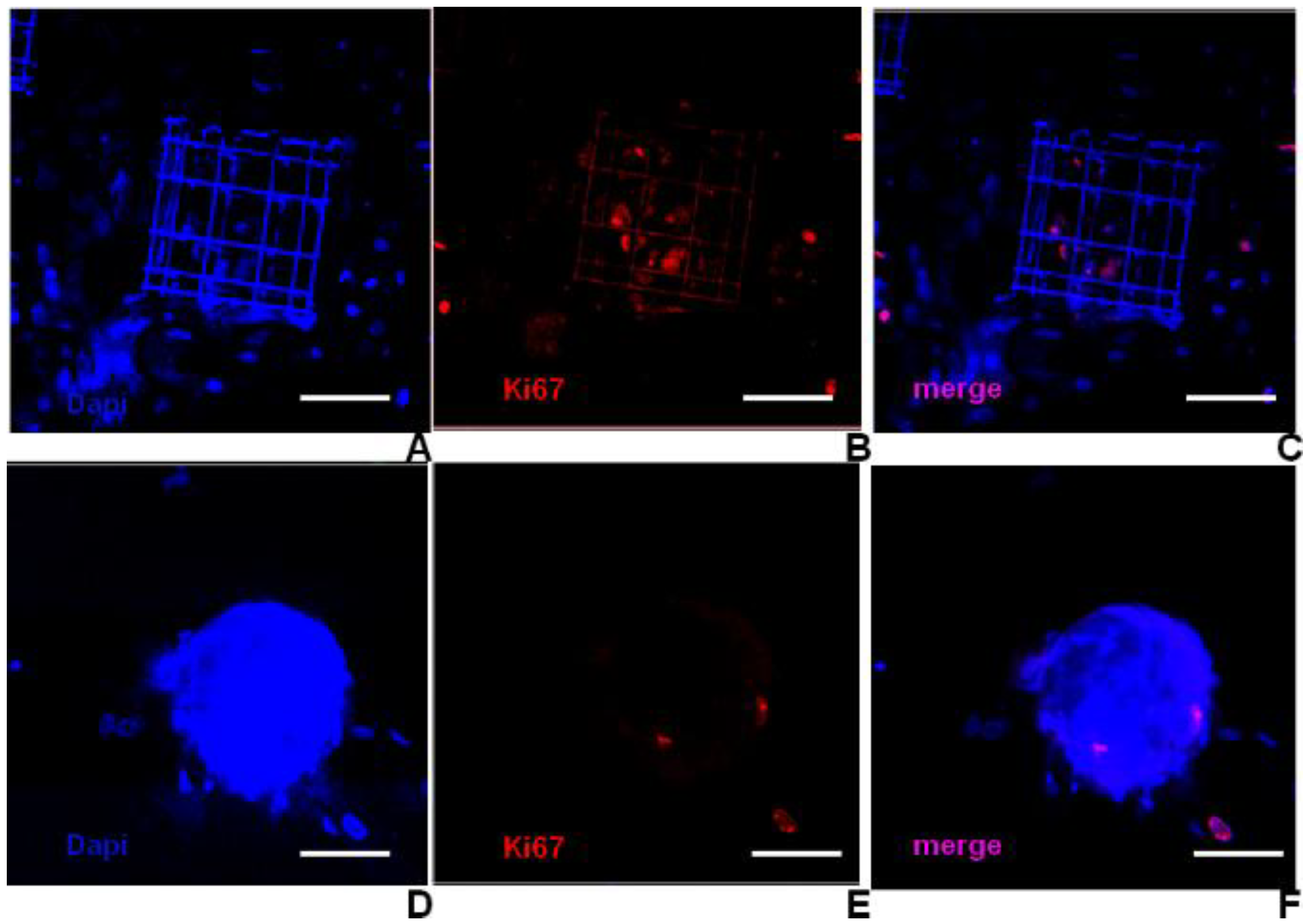 Micromachines 05 00341 g009 1024