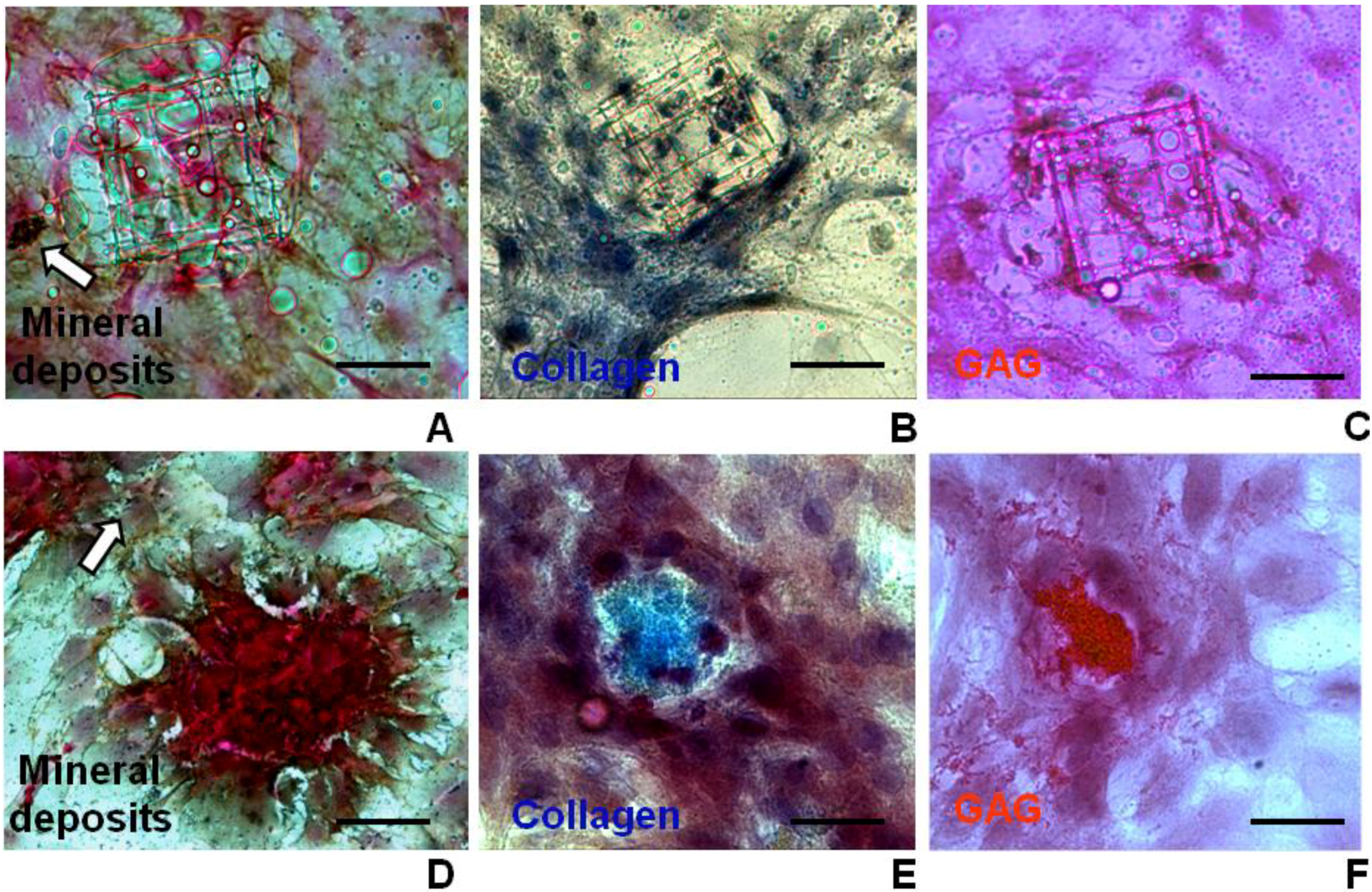 Micromachines 05 00341 g010 1024