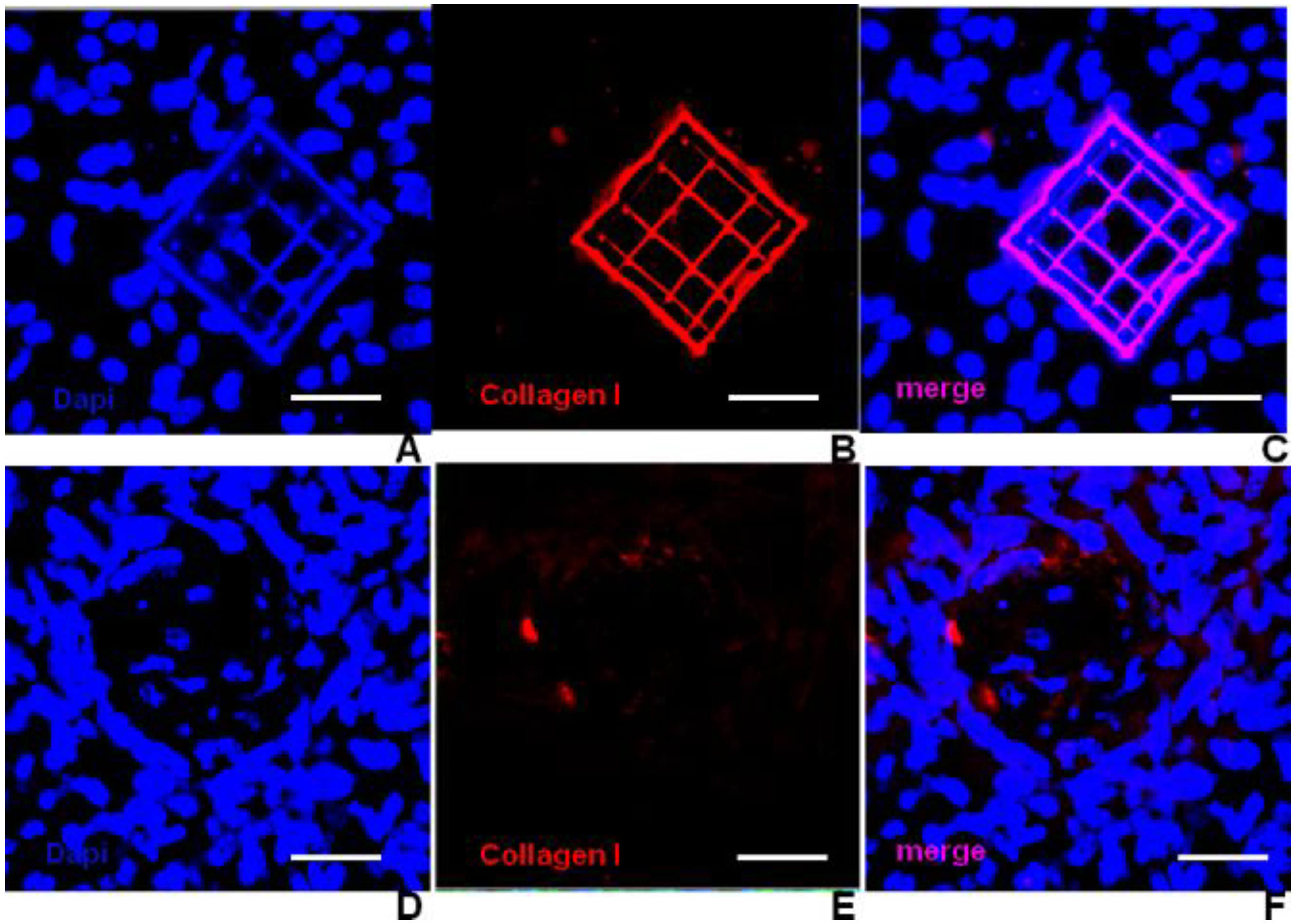 Micromachines 05 00341 g011 1024