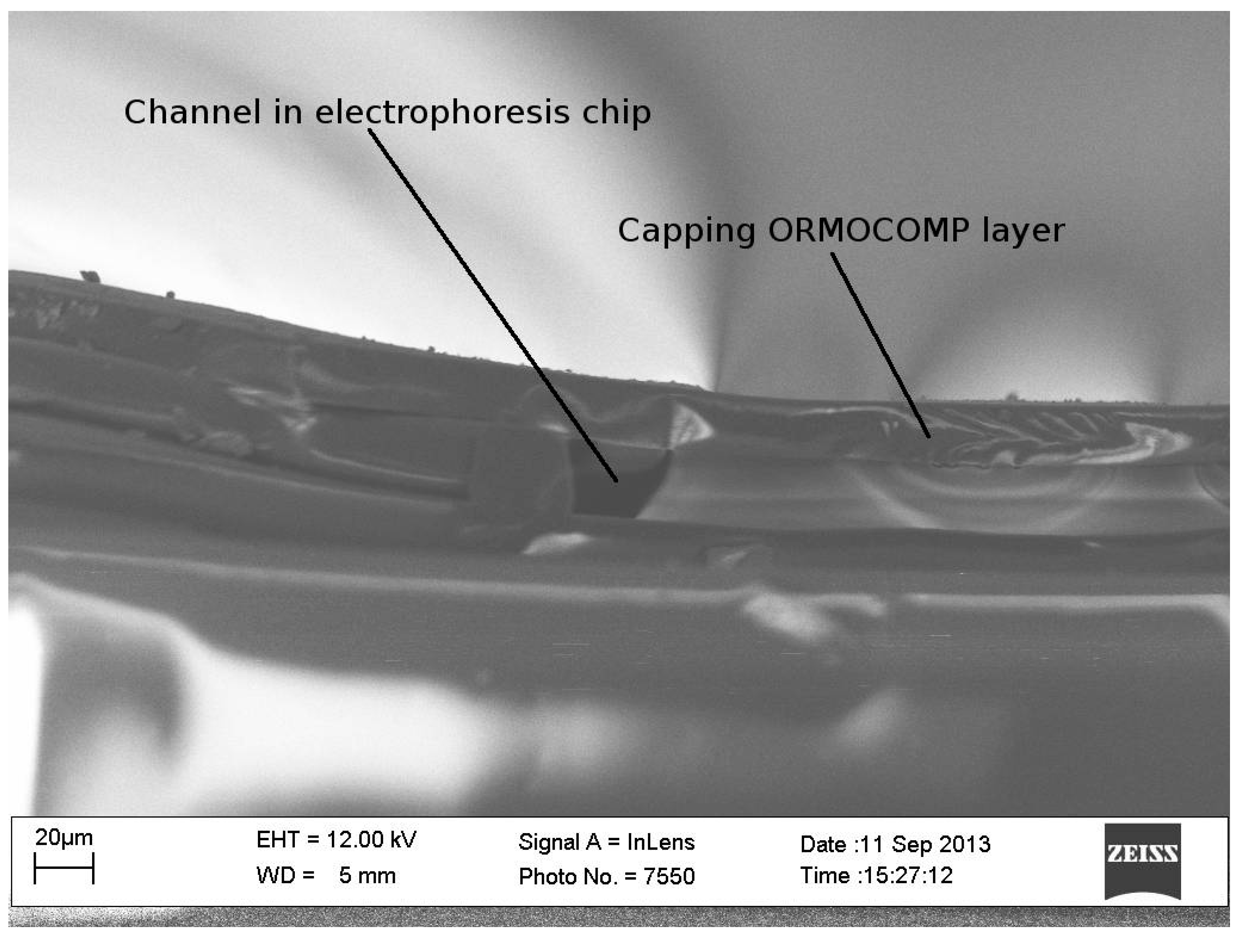Micromachines 05 00472 g008 1024