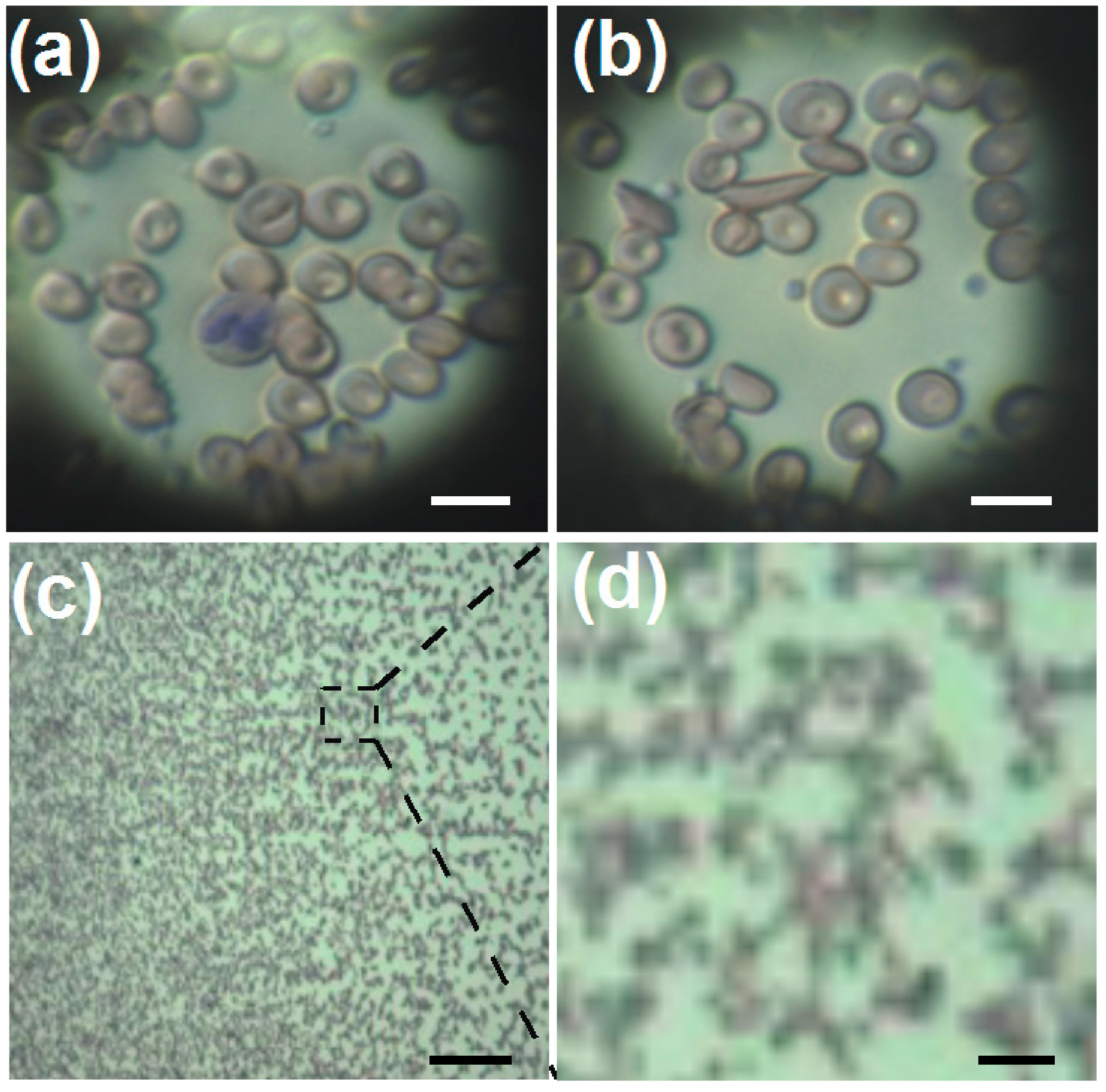 Micromachines 05 00607 g009