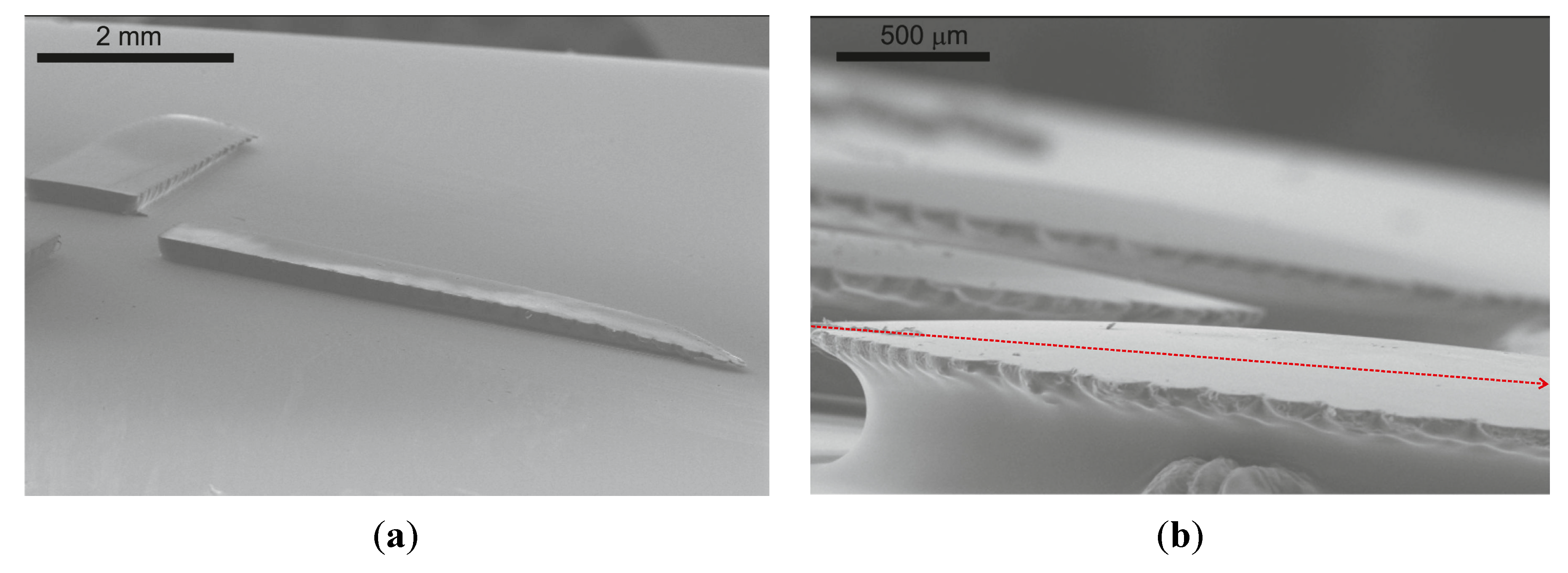 Micromachines 05 00738 g010 1024
