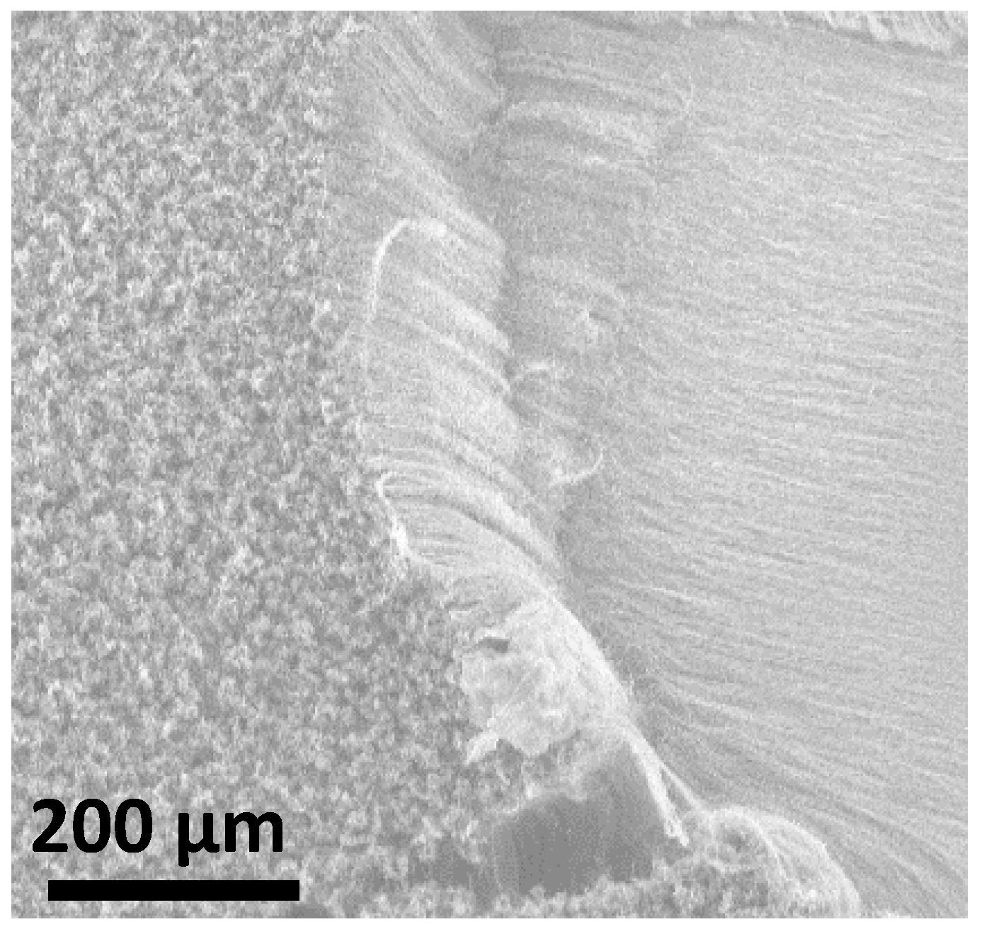 Micromachines 05 00756 g001