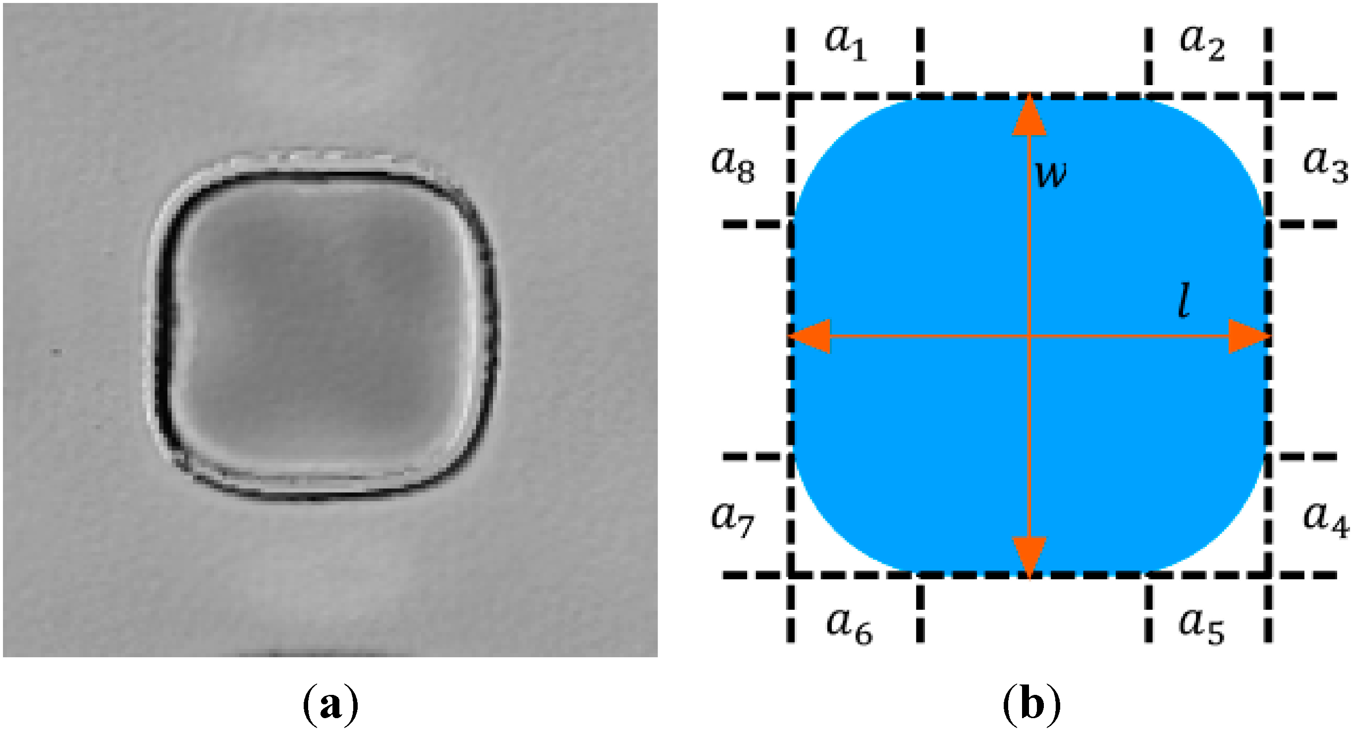 Micromachines 05 00943 g003