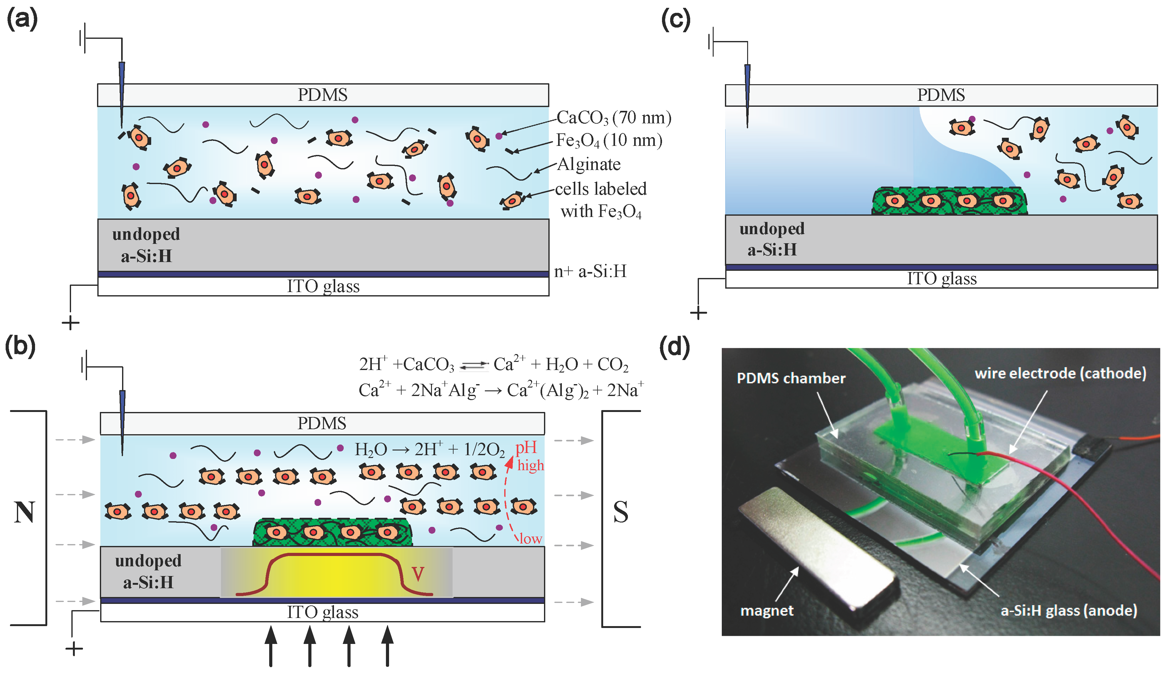 Micromachines 05 01173 g001 1024