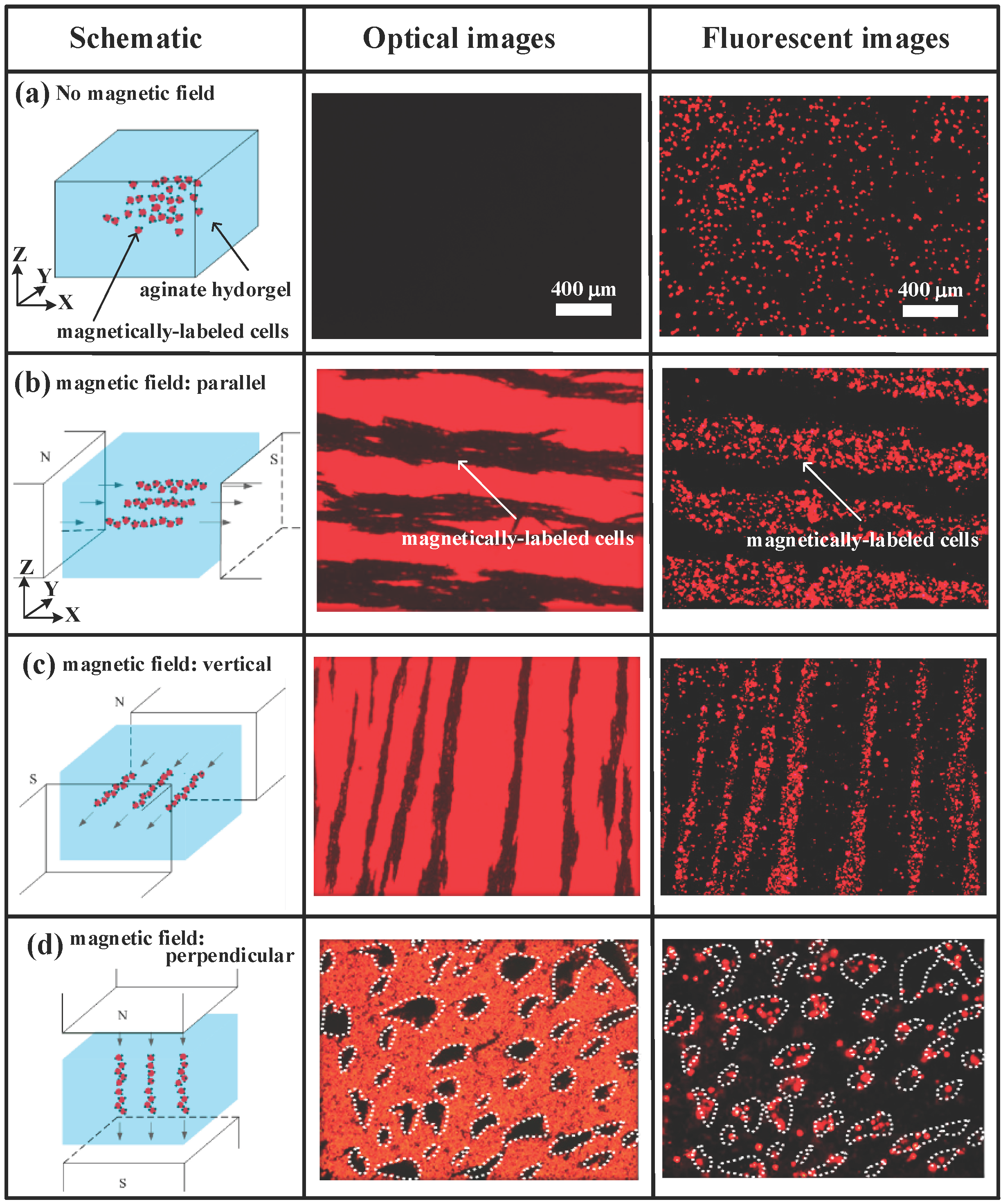 Micromachines 05 01173 g005 1024
