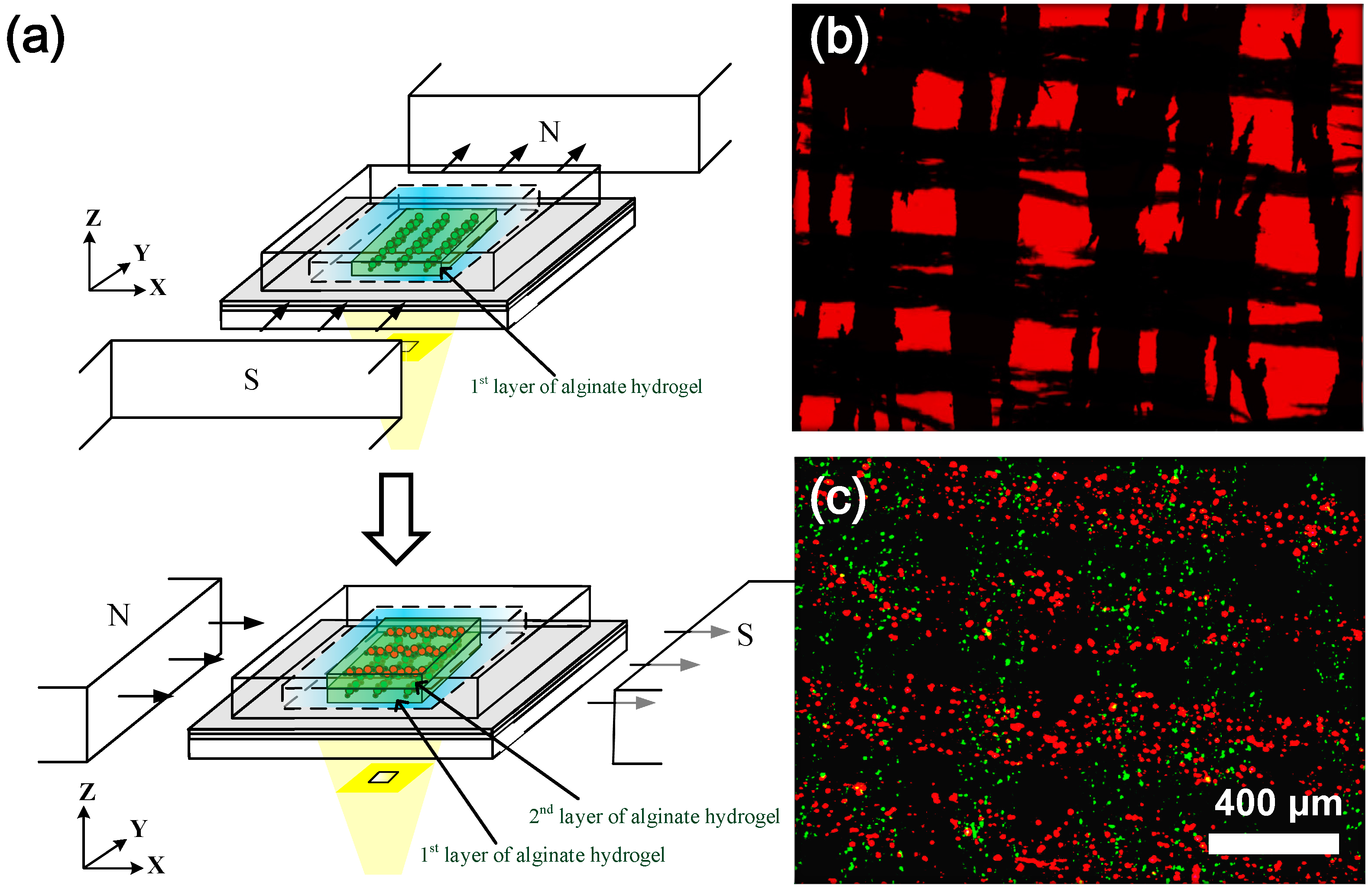 Micromachines 05 01173 g006 1024