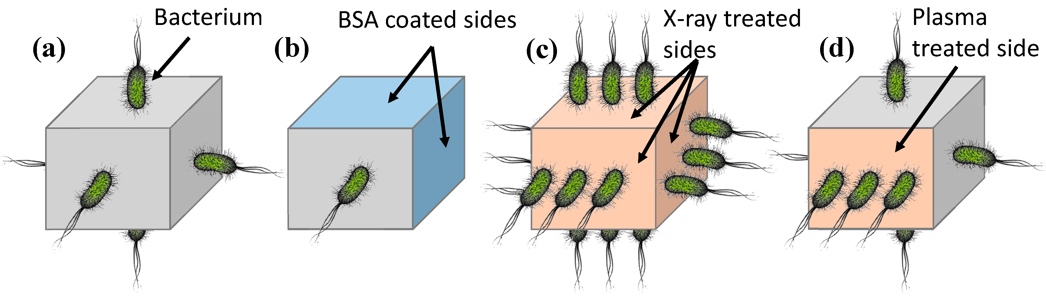 Micromachines 05 01287 g003 1024