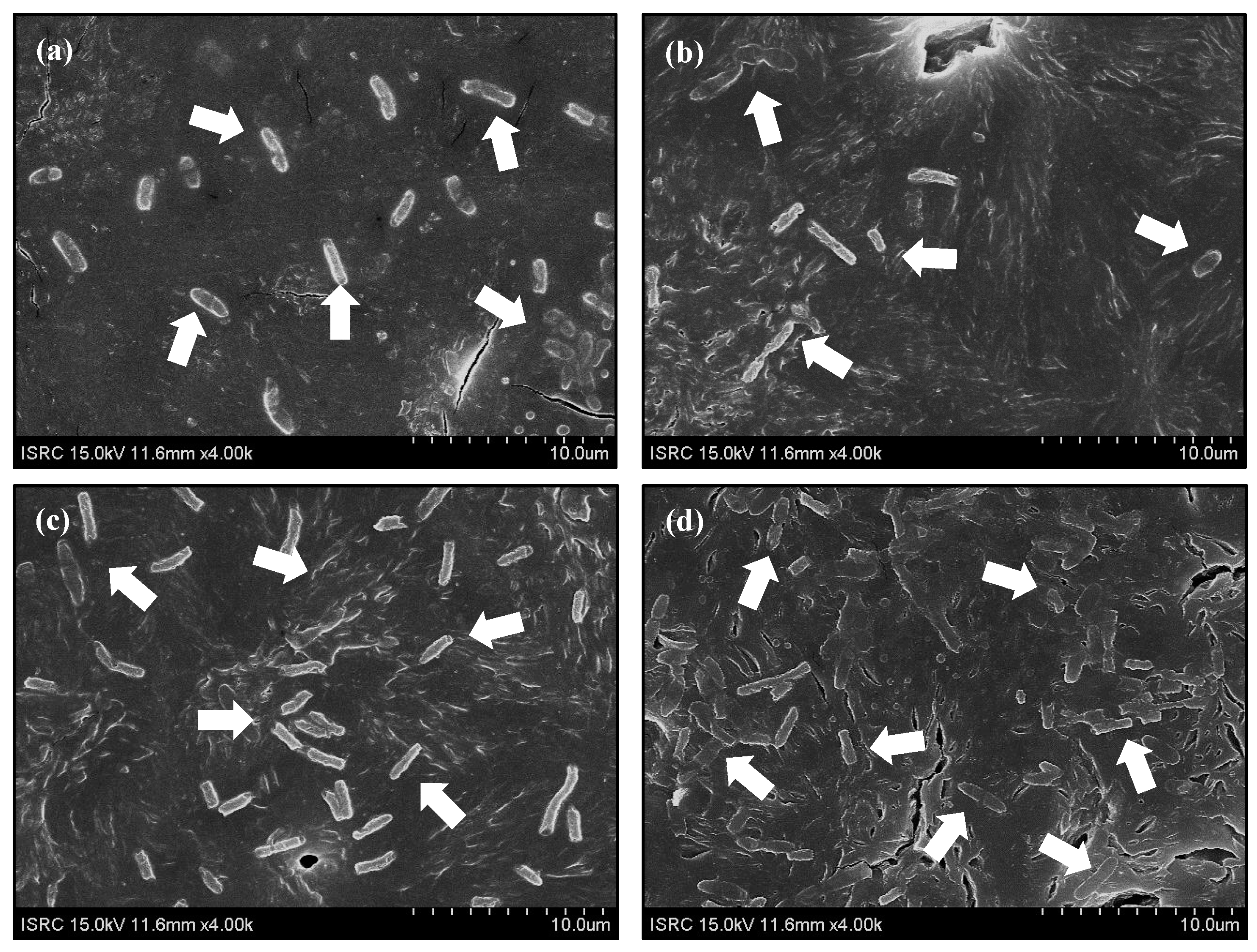 Micromachines 05 01287 g004 1024