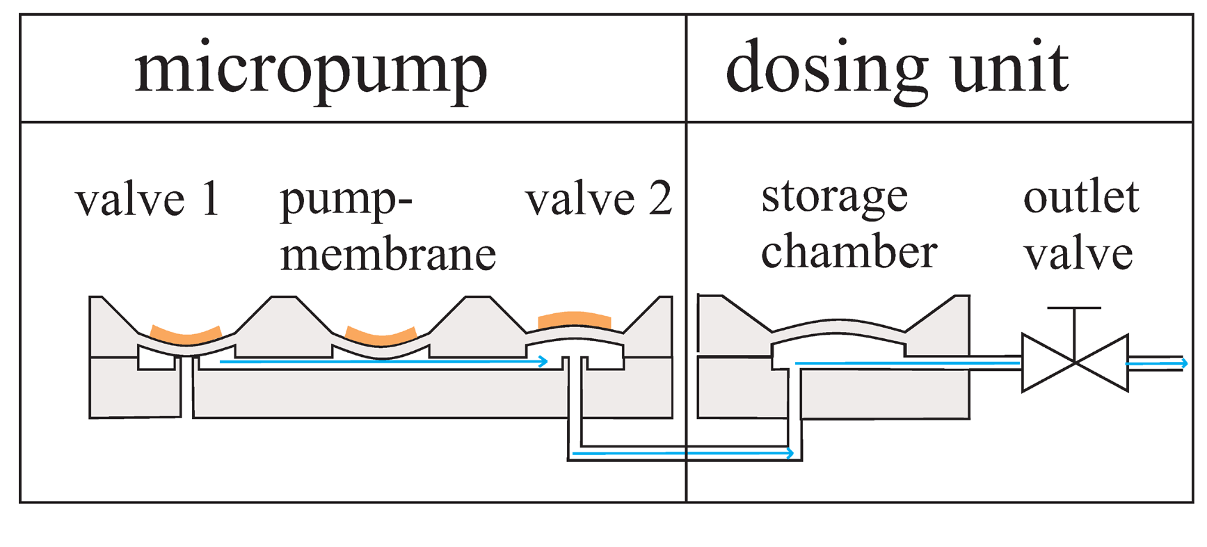 Micromachines 06 00080 g001 1024