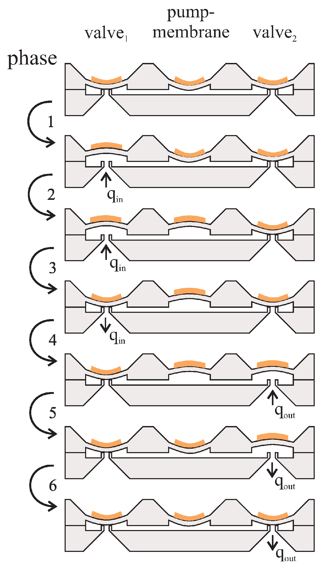 Micromachines 06 00080 g002 1024