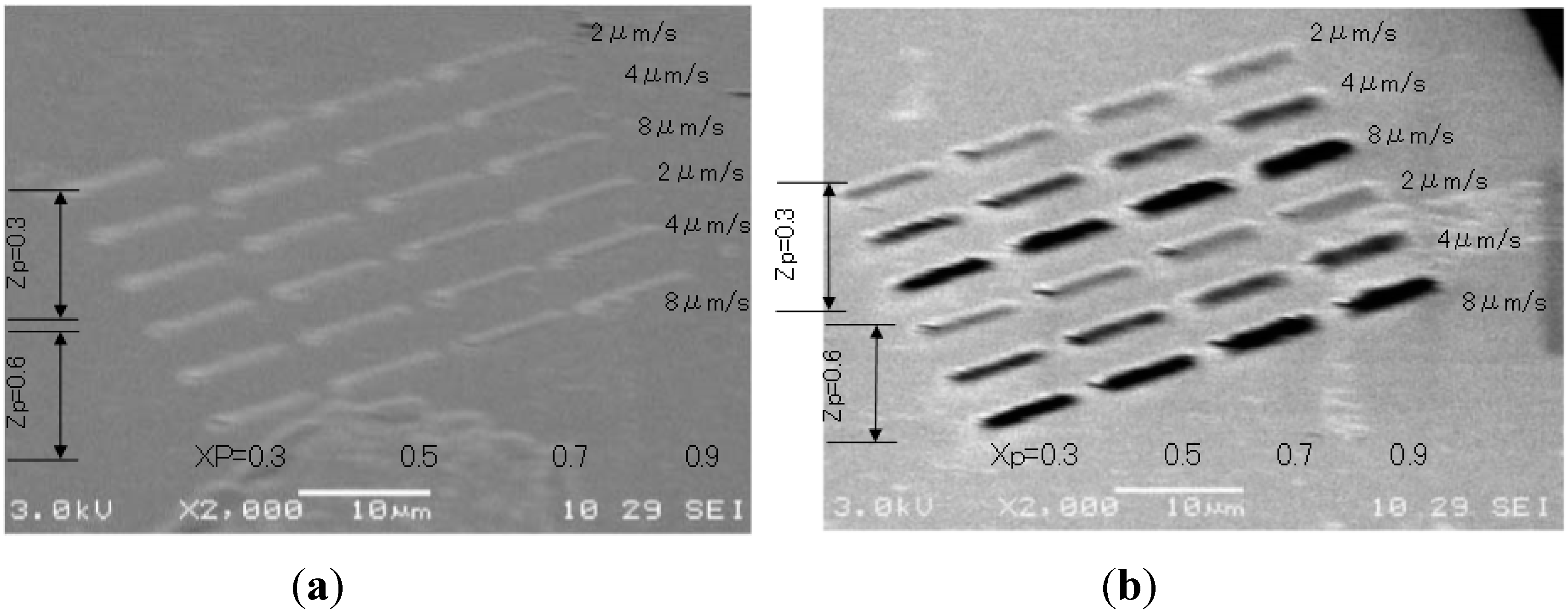 Micromachines 06 00096 g009