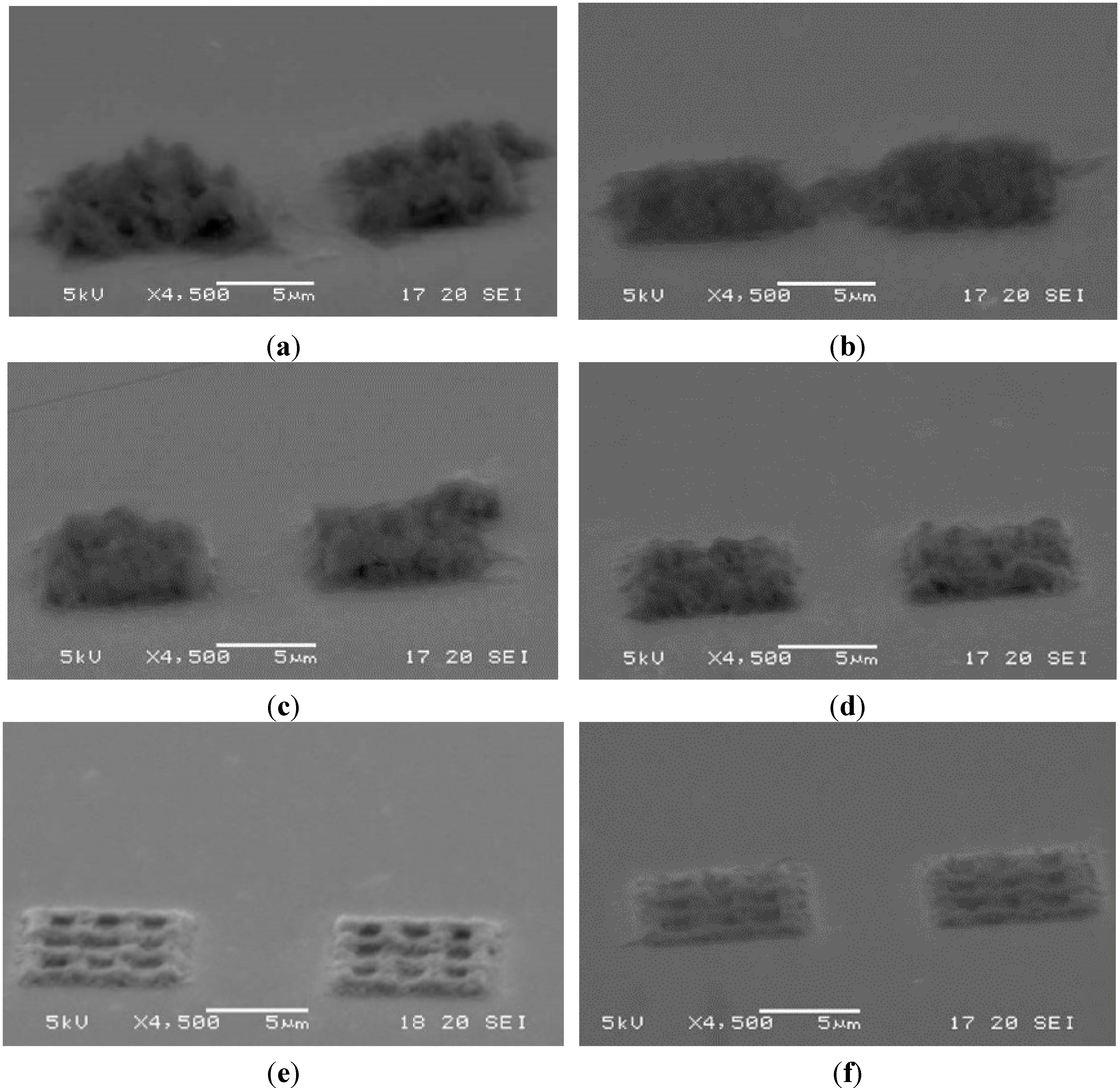 Micromachines 06 00096 g012