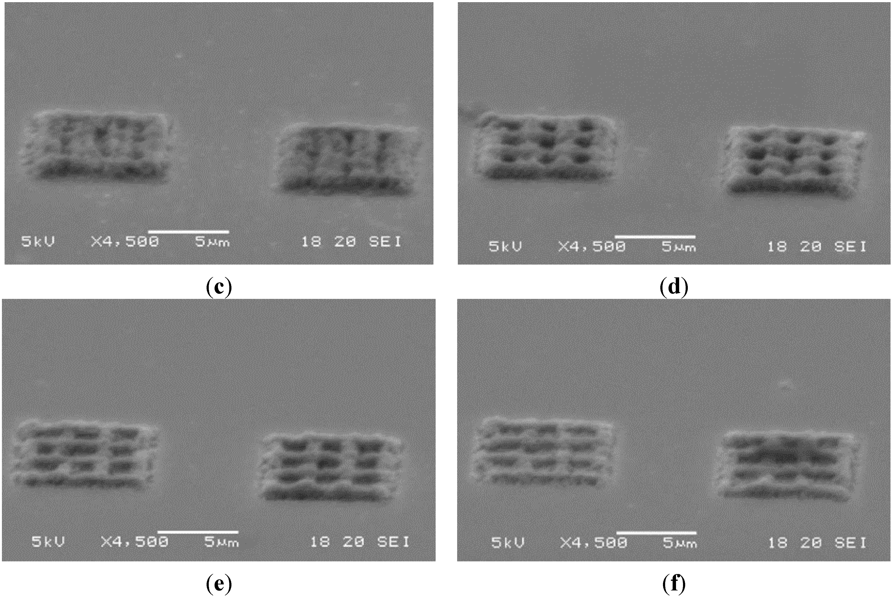 Micromachines 06 00096 g014b