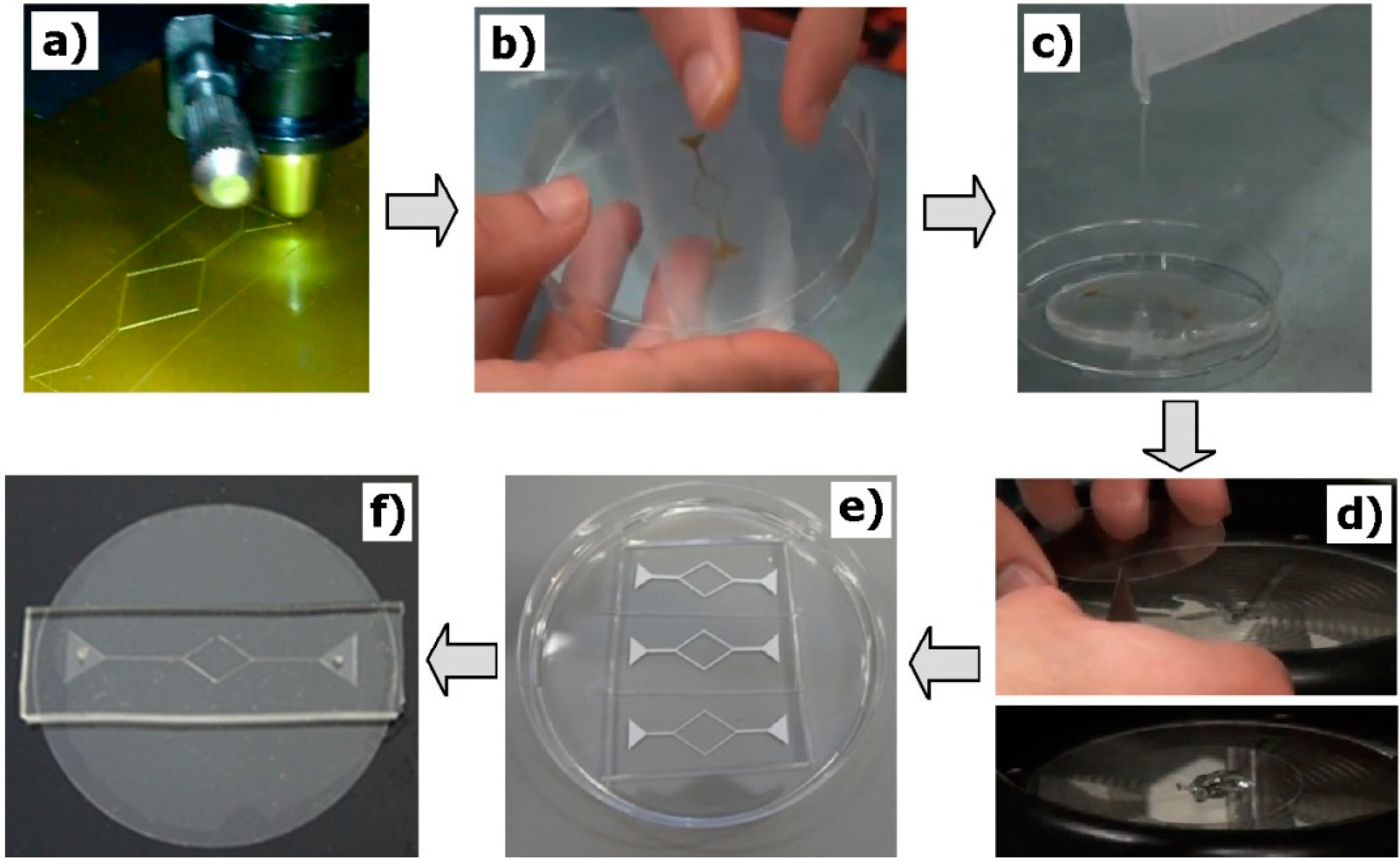 Micromachines 06 00121 g003