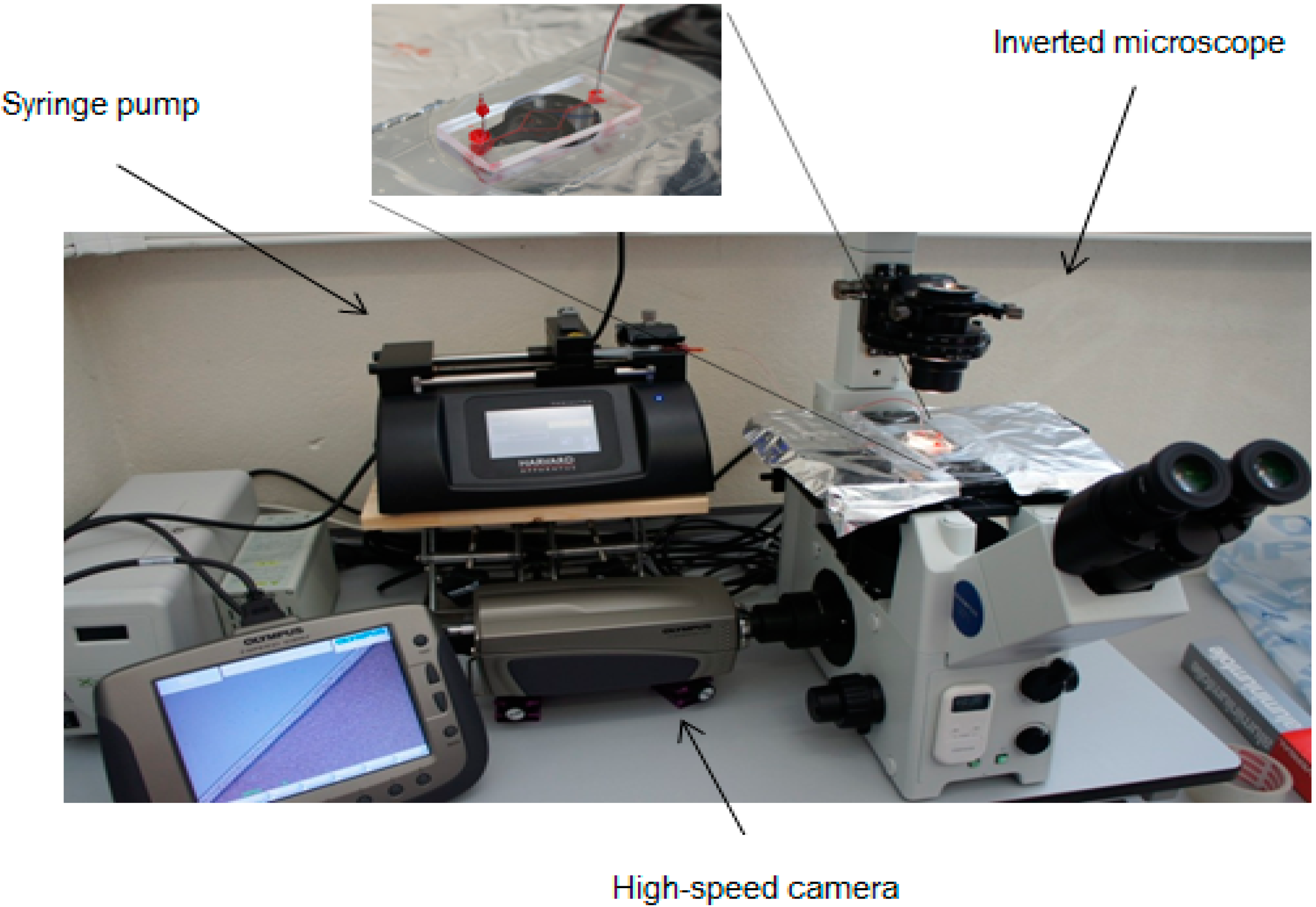 Micromachines 06 00121 g004