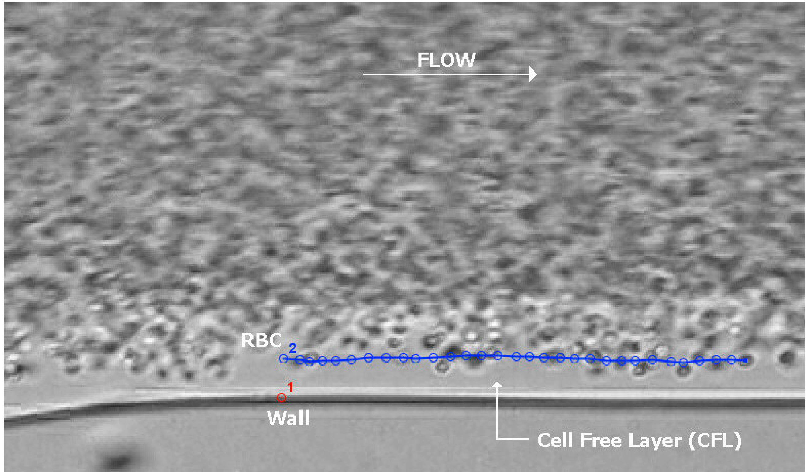 Micromachines 06 00121 g005