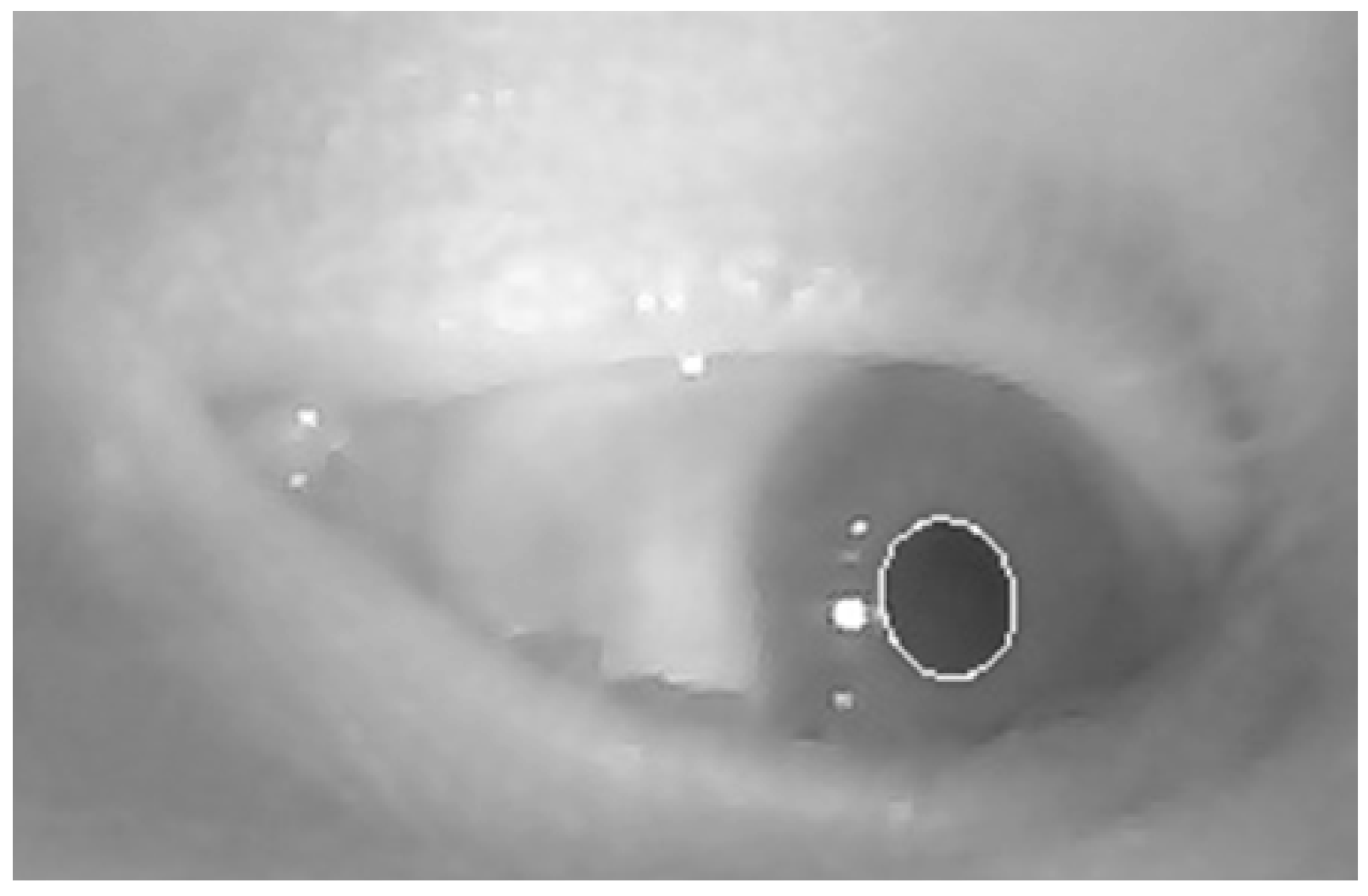 Micromachines 06 00291 g003 1024