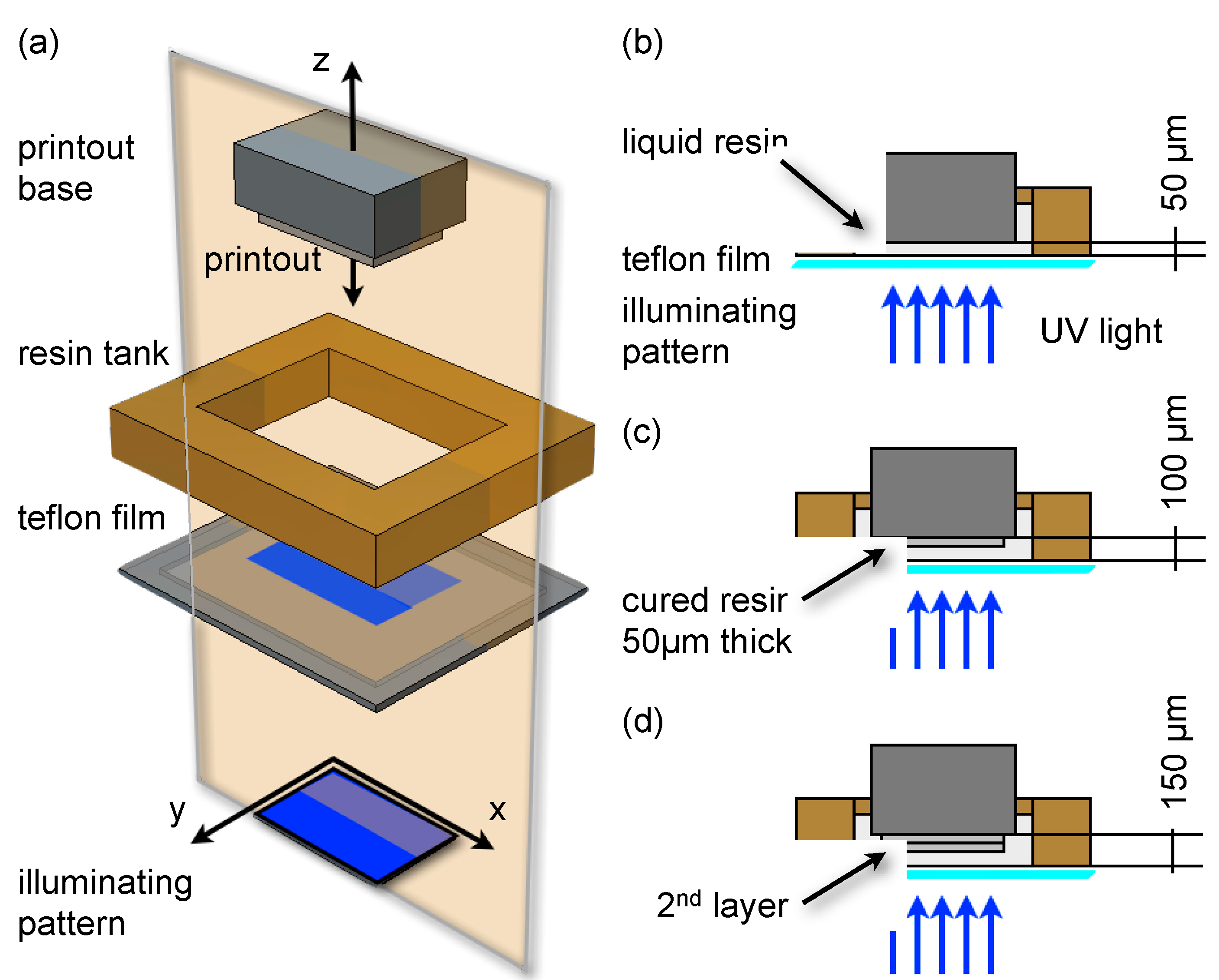 Micromachines 06 00437 g001 1024
