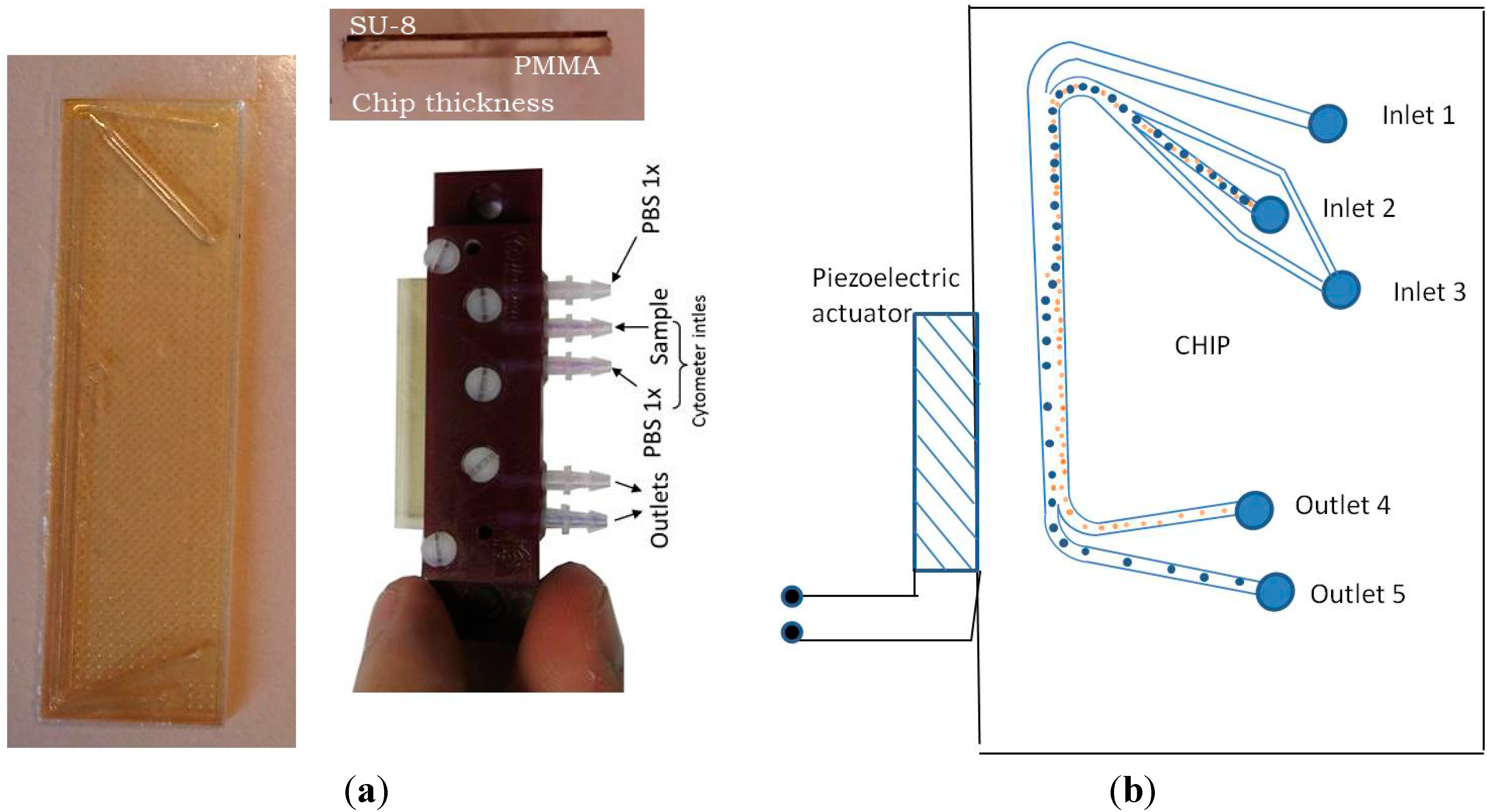 Micromachines 06 00574 g001