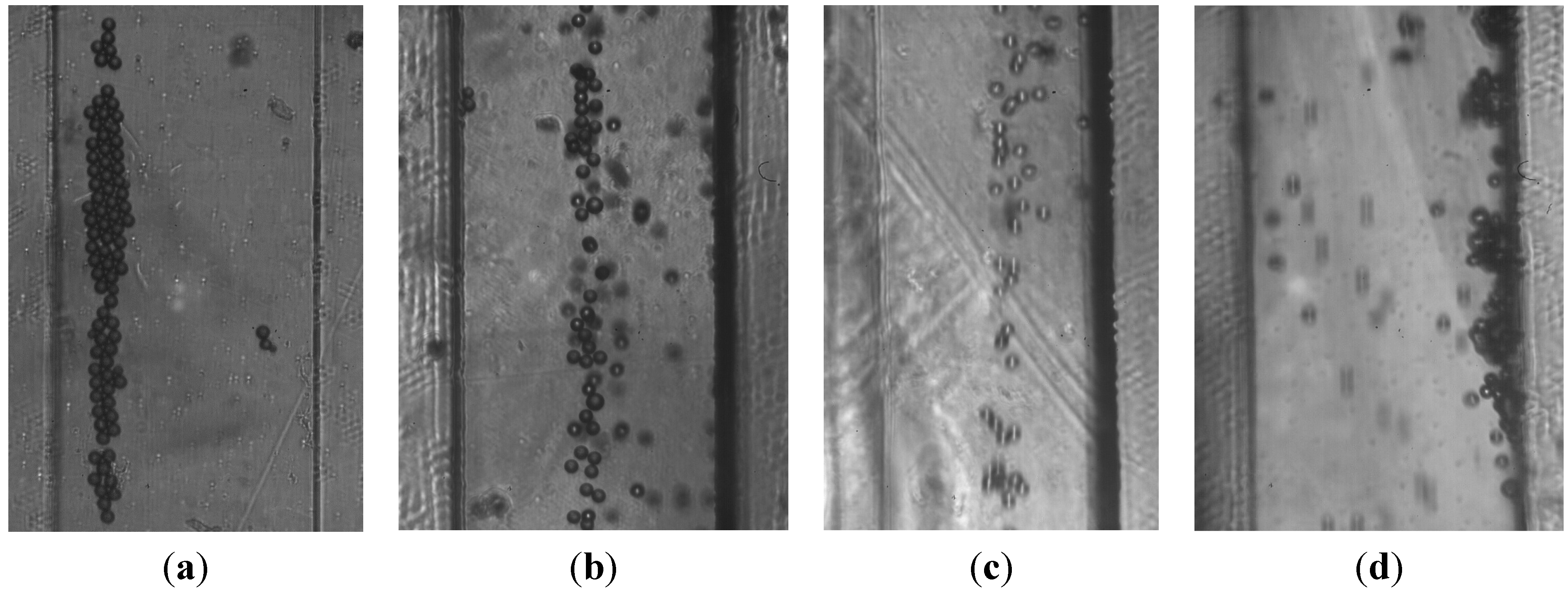 Micromachines 06 00574 g006