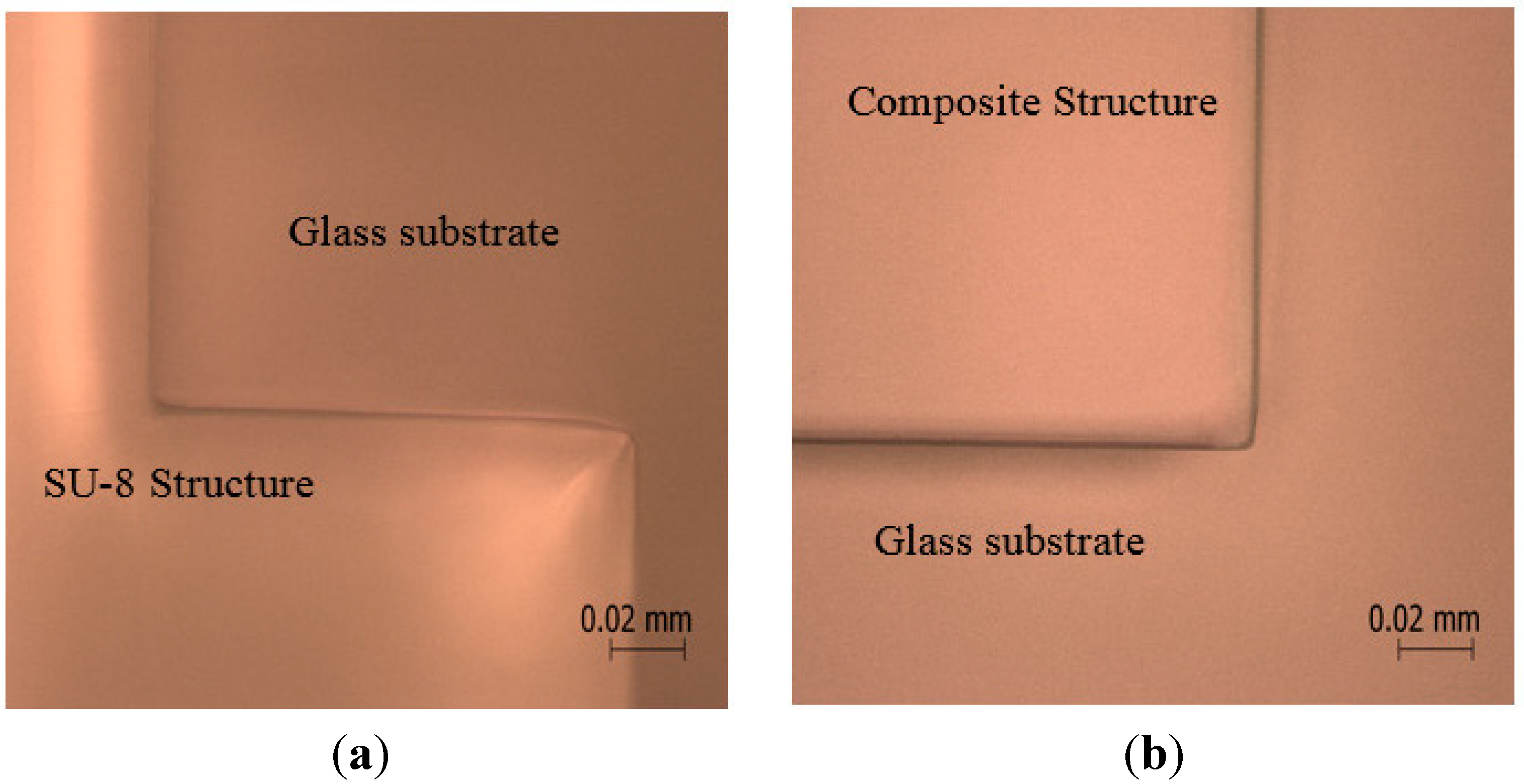 Micromachines 06 00611 g004 1024