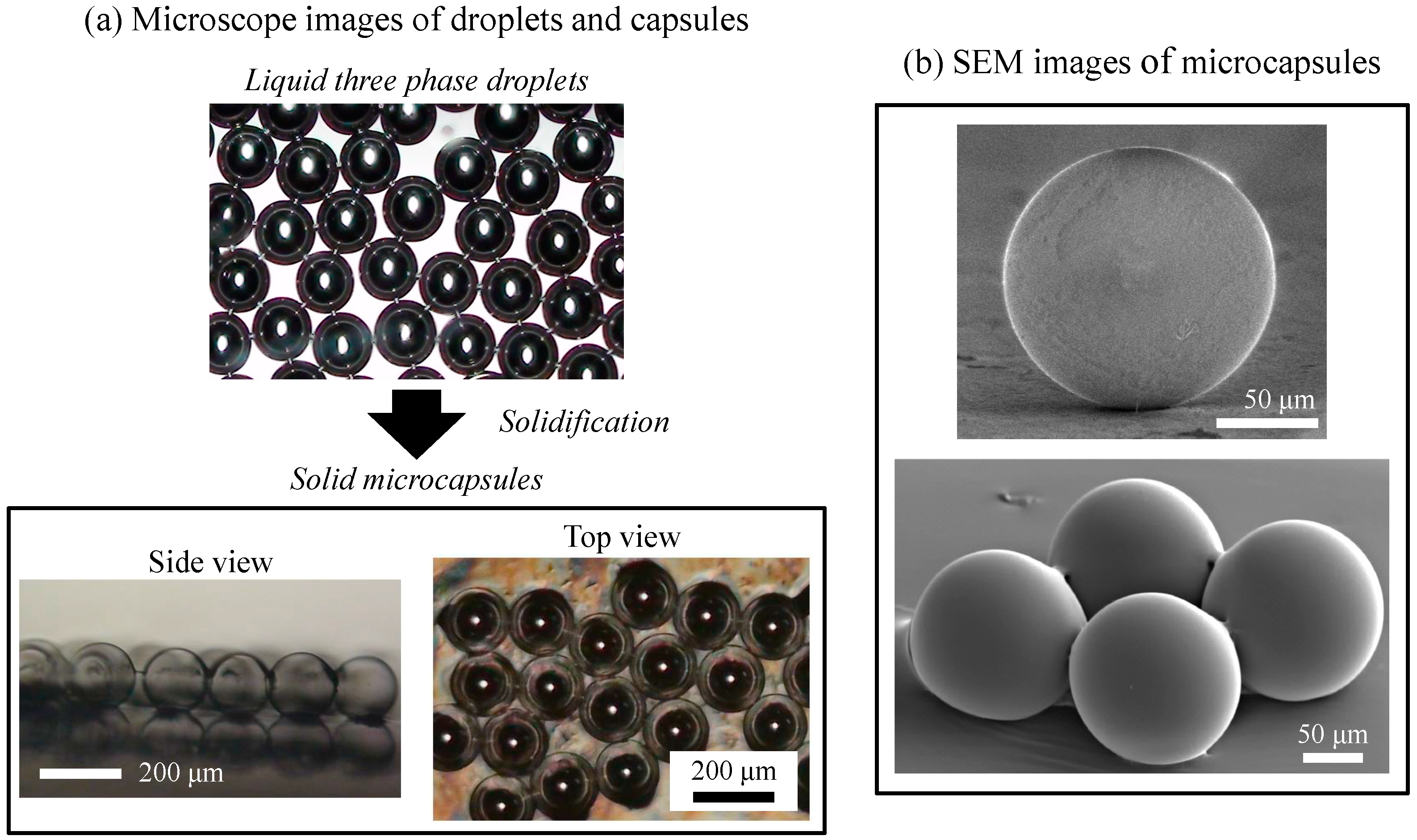 Micromachines 06 00622 g005 1024