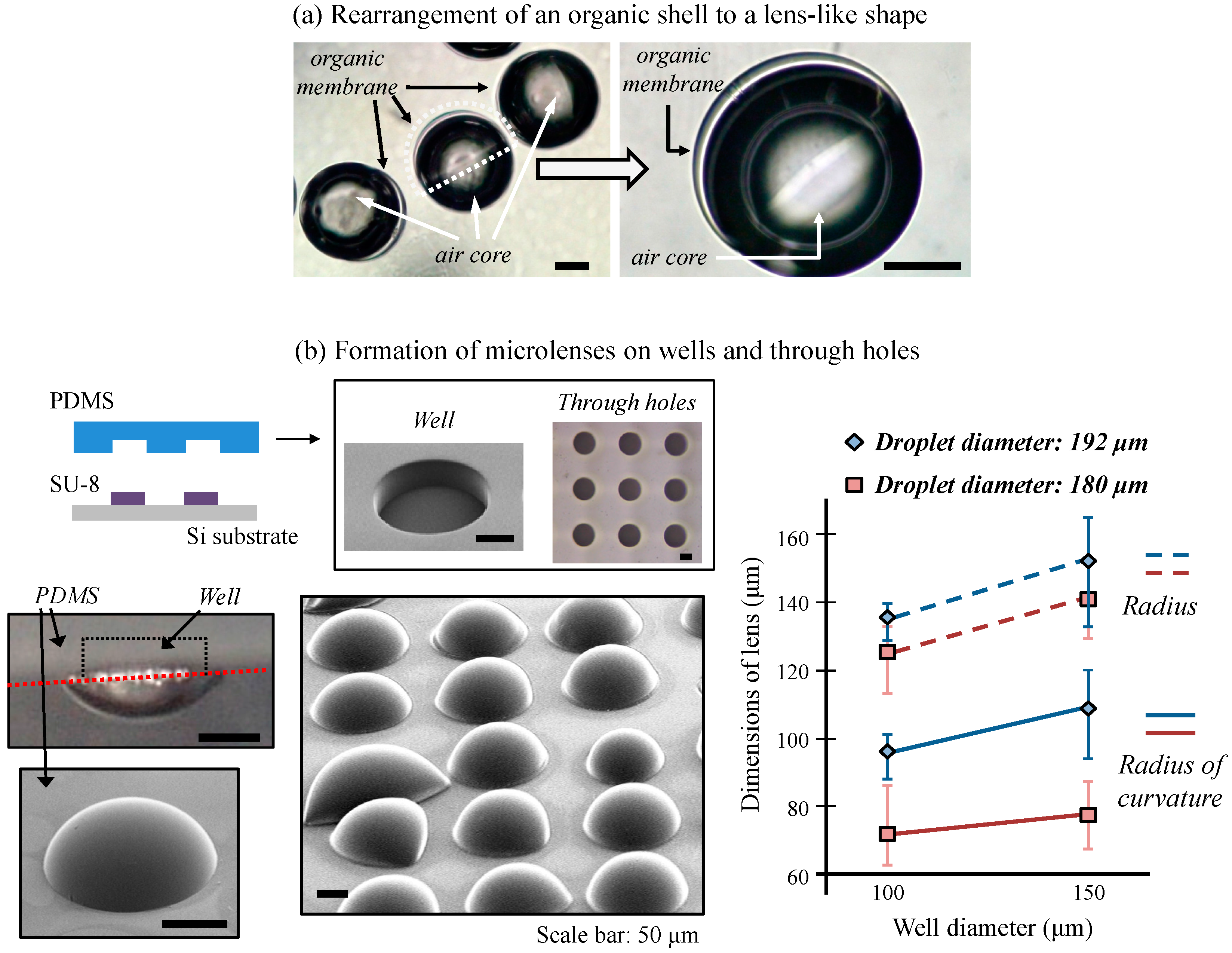 Micromachines 06 00622 g009 1024