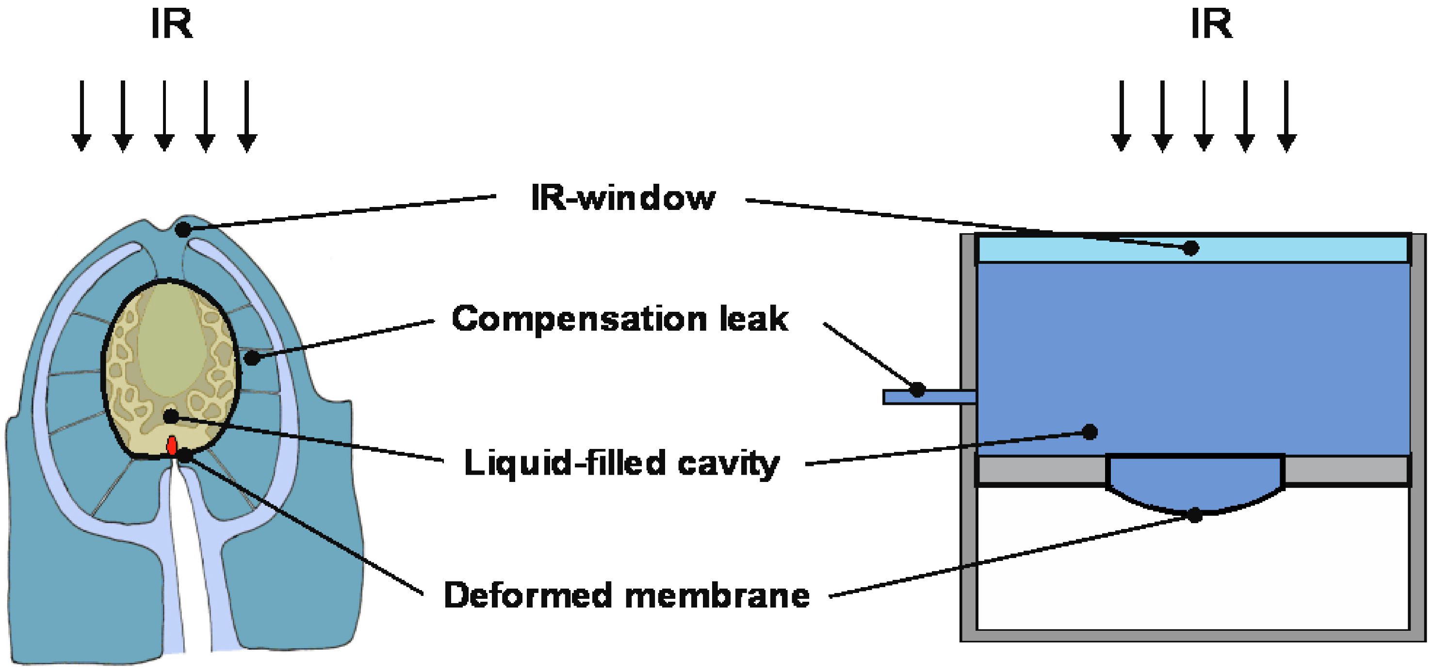 Micromachines 06 00718 g006