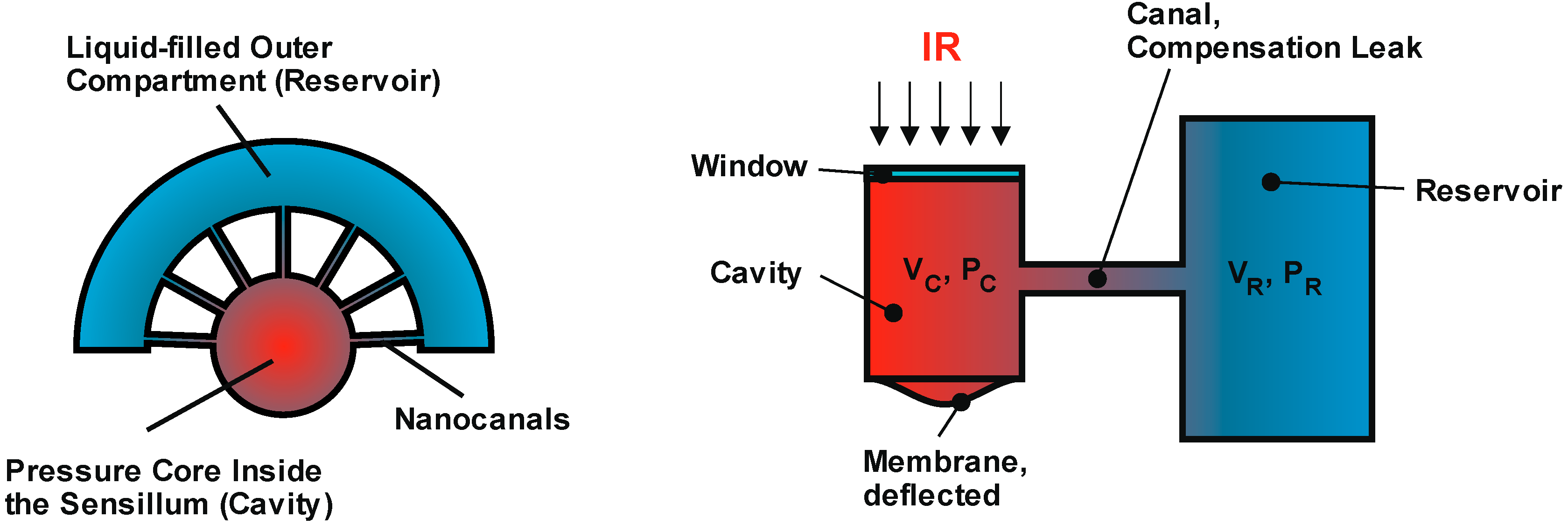 Micromachines 06 00718 g008