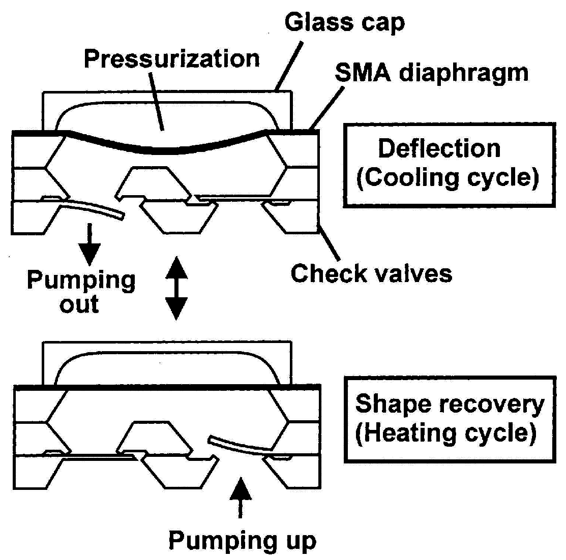 Micromachines 06 00879 g014
