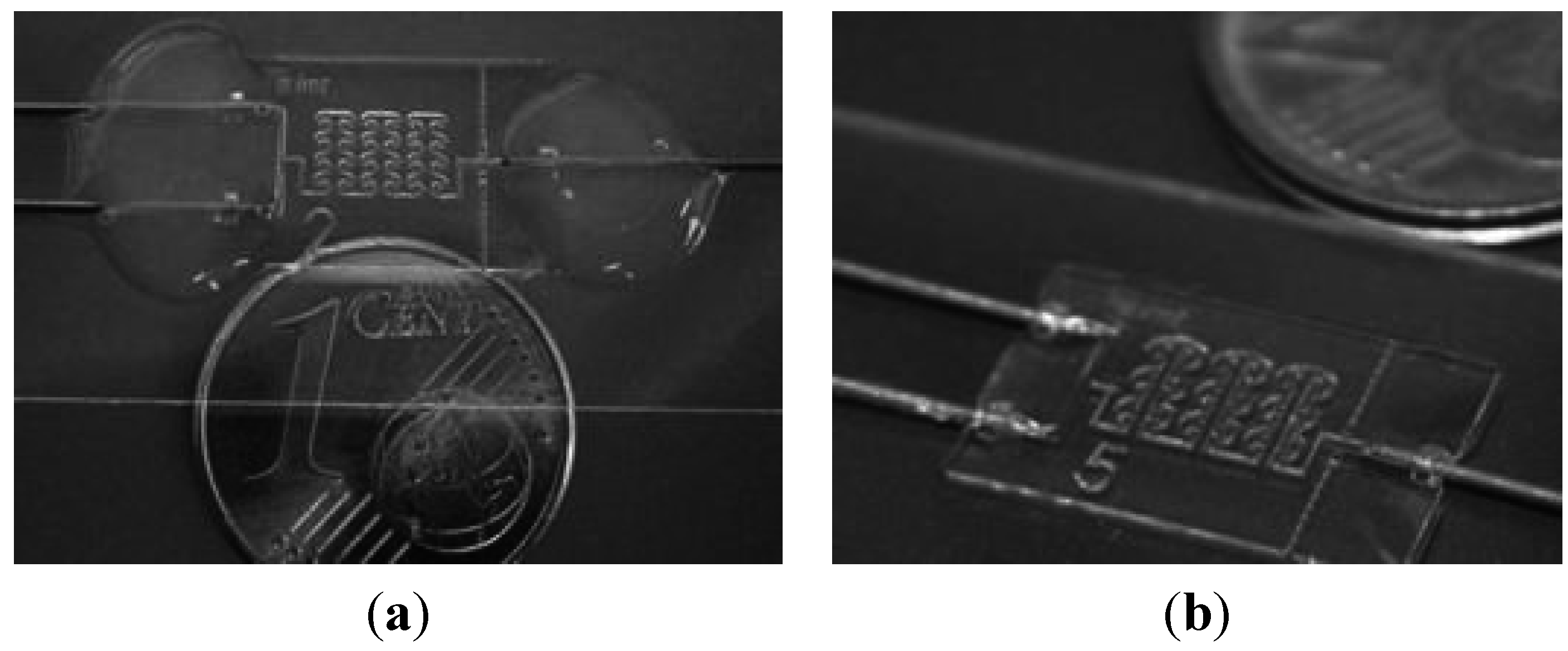 Micromachines 06 00953 g008 1024