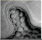 Micromachines 06 01180 i003