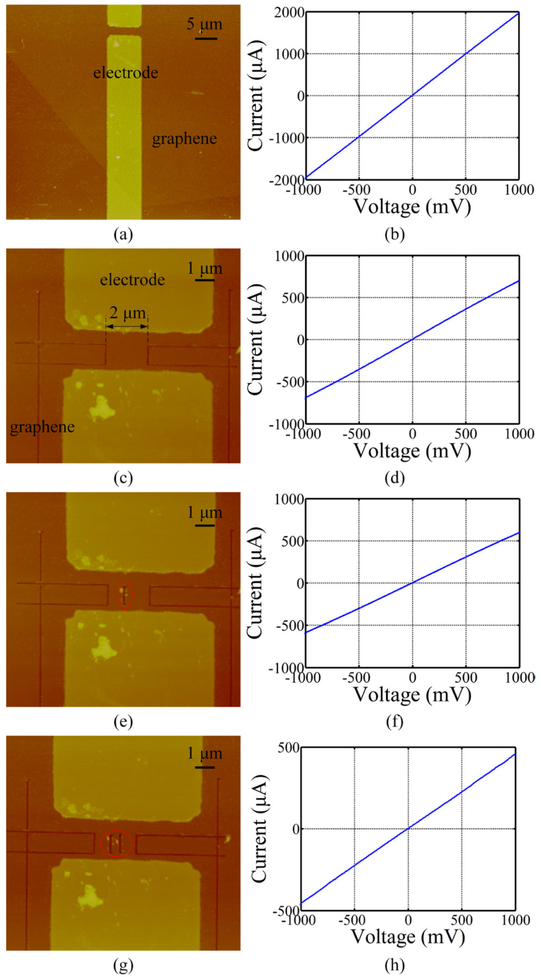 Micromachines 06 01317 g006