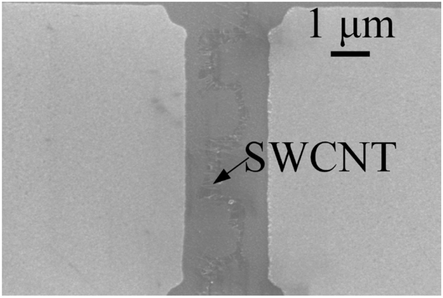 Micromachines 06 01317 g011