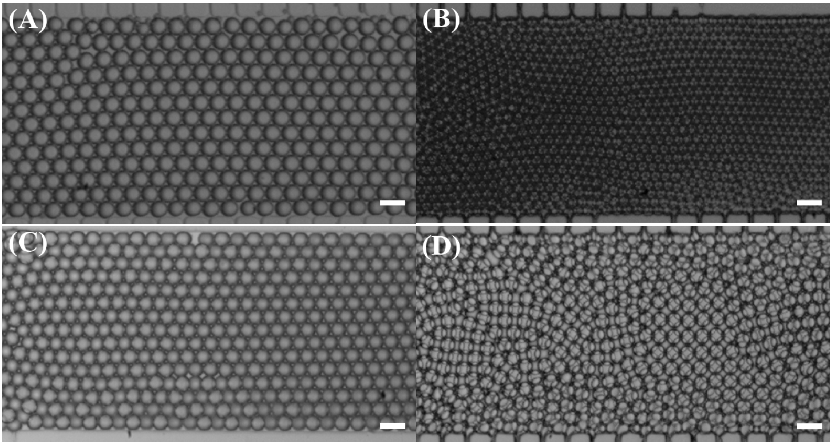 Micromachines 06 01331 g004 1024