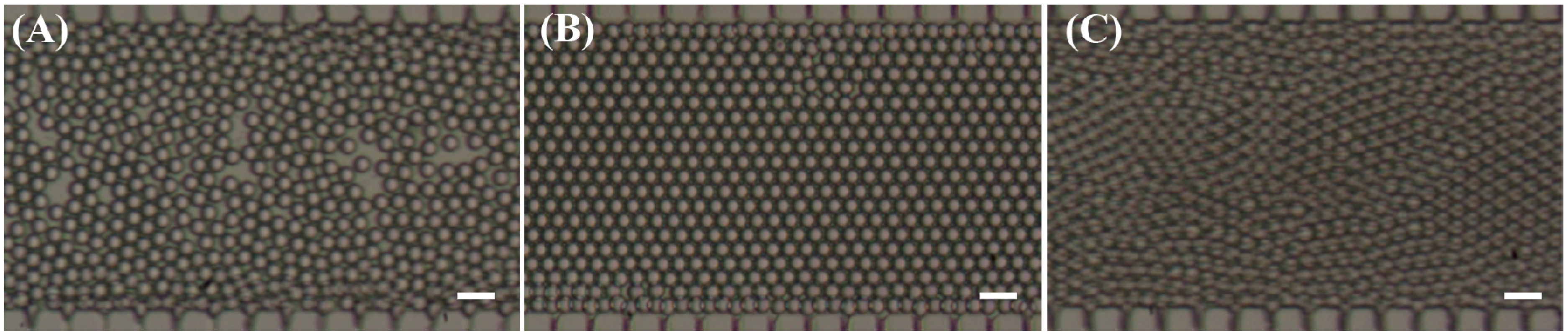 Micromachines 06 01331 g005 1024