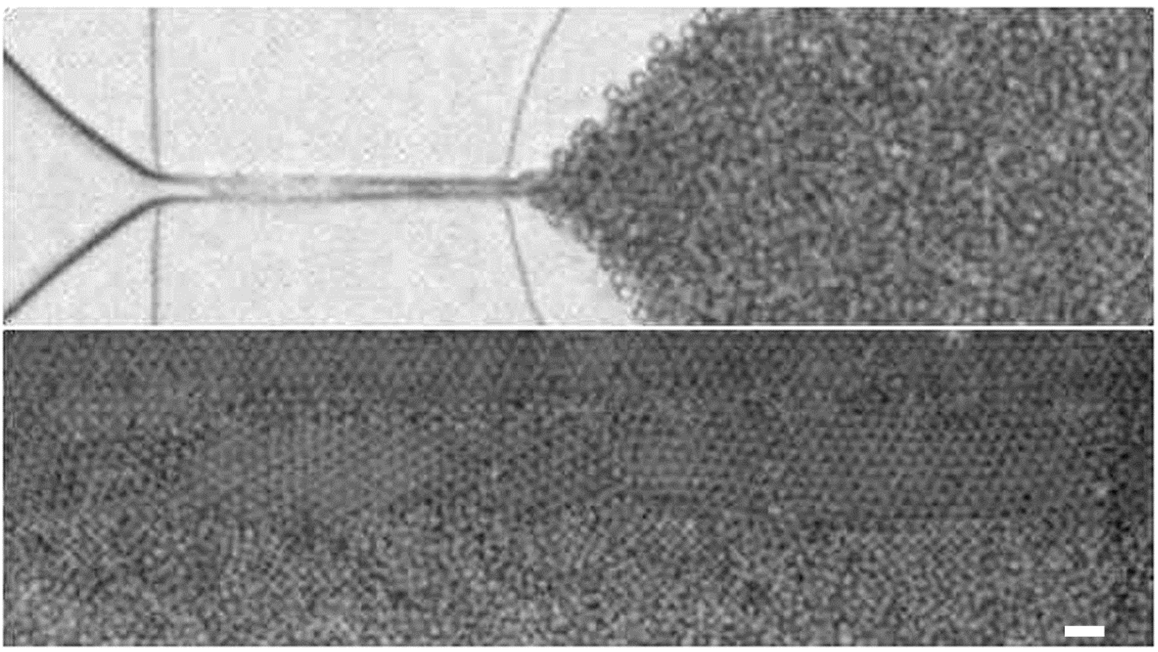 Micromachines 06 01331 g008 1024