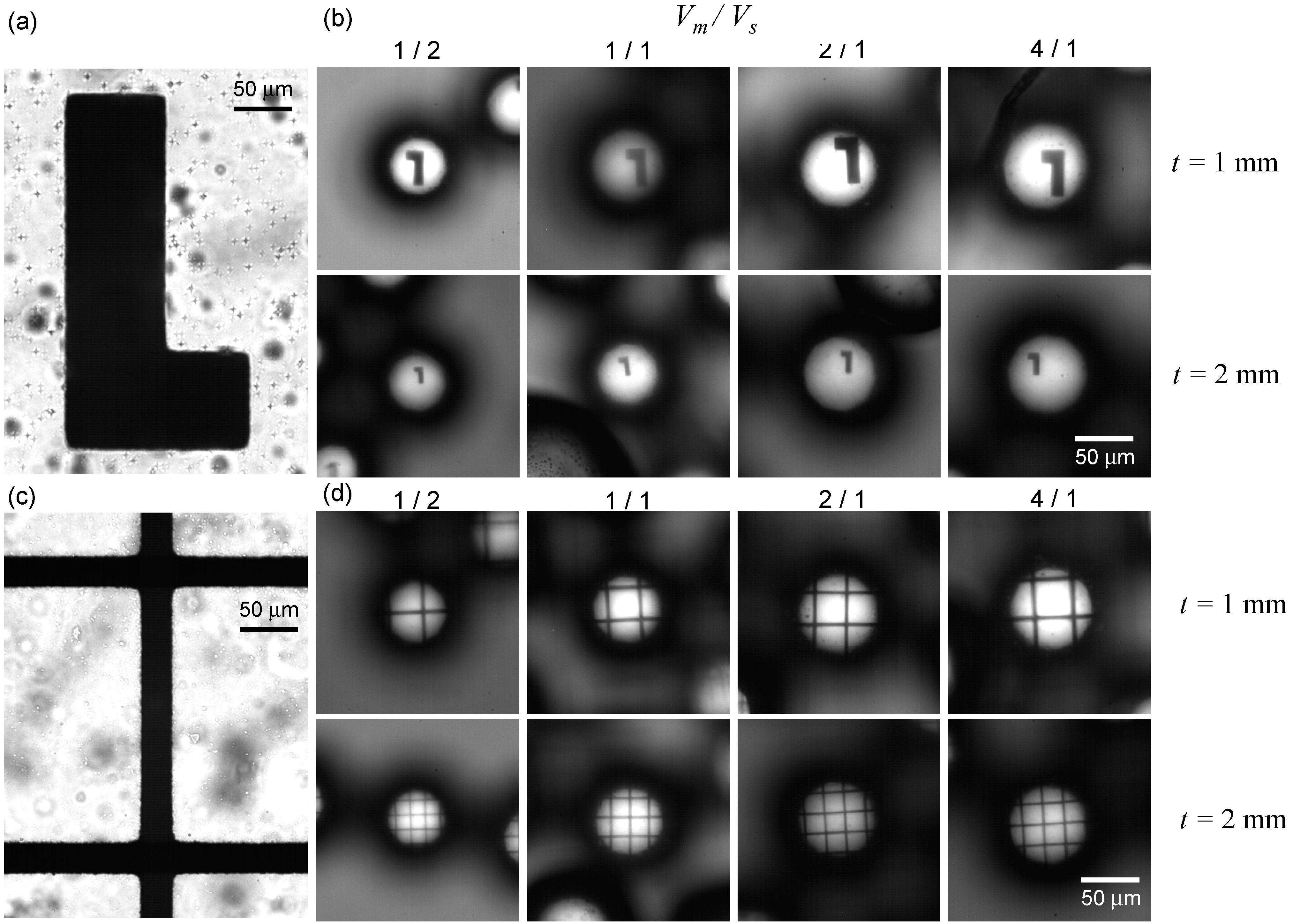 Micromachines 06 01428 g007 1024