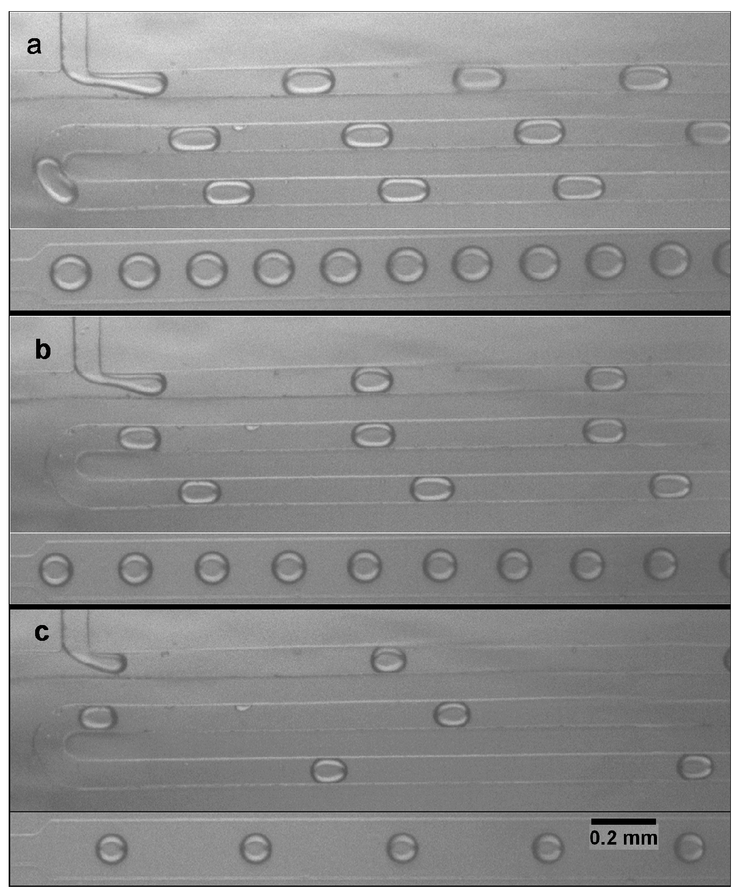 Micromachines 06 01429 g005 1024