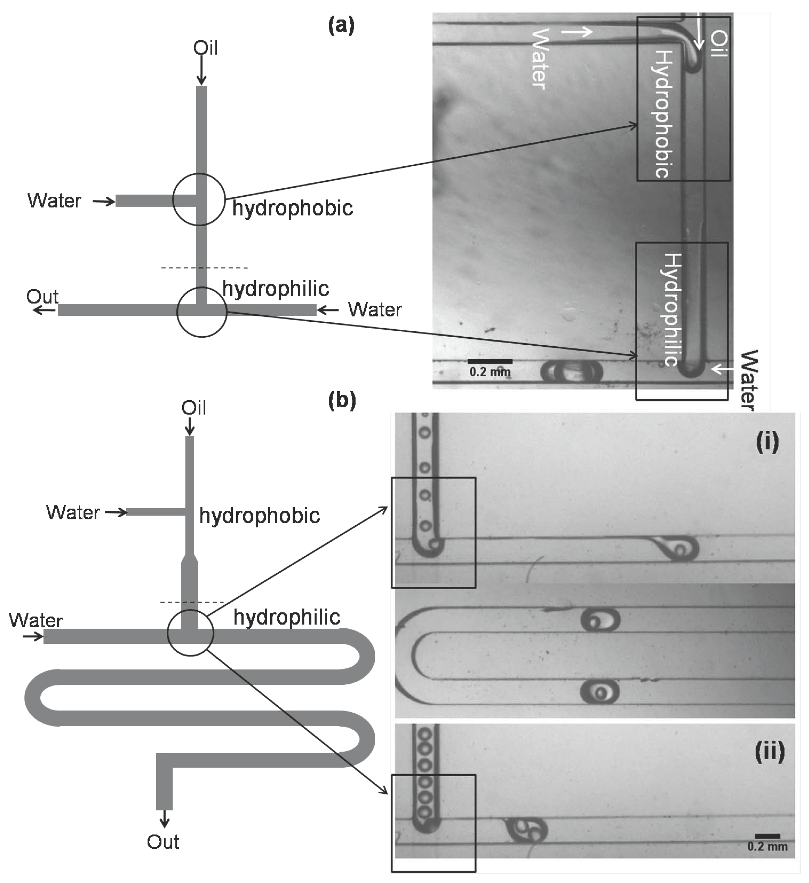 Micromachines 06 01429 g010 1024
