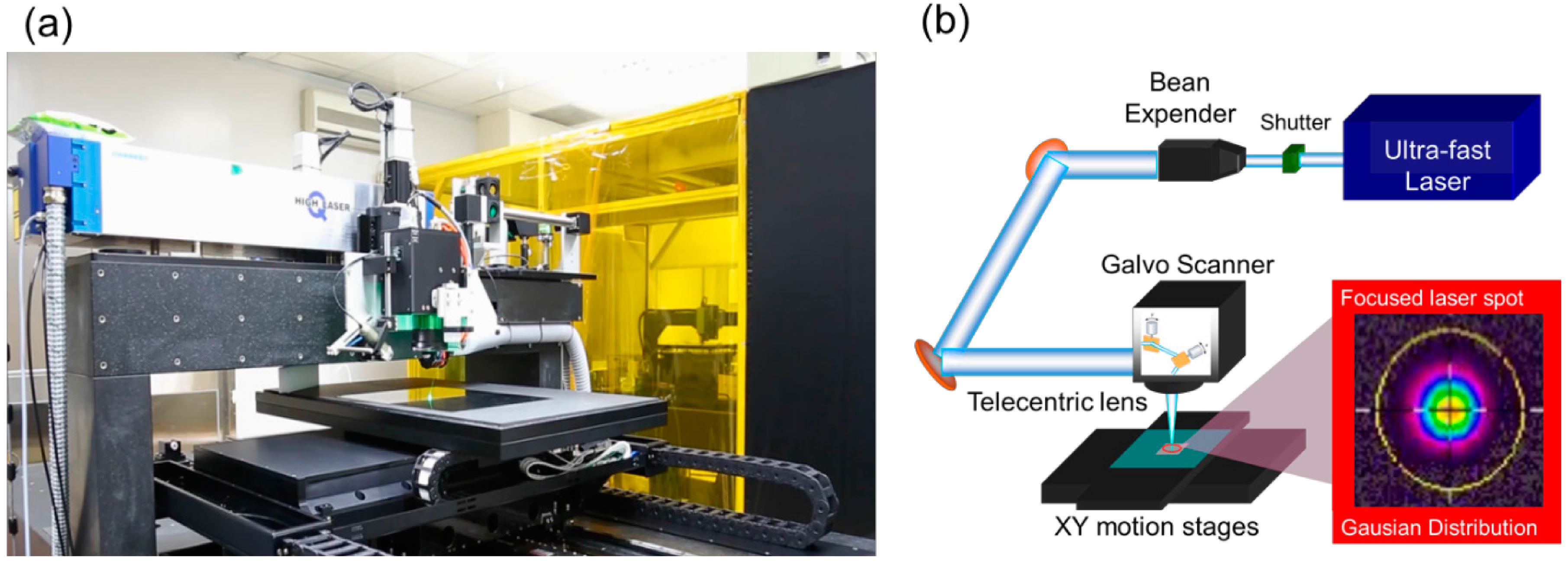 Micromachines 06 01433 g001 1024